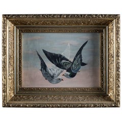 Antique Ornithological Oil on Canvas Painting of Doves in Flight, circa 1890