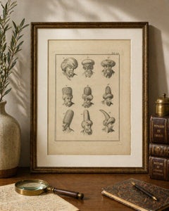 Antique Ottoman Turban Study, 18th Century Costume Headgear Engraving, ca.1774
