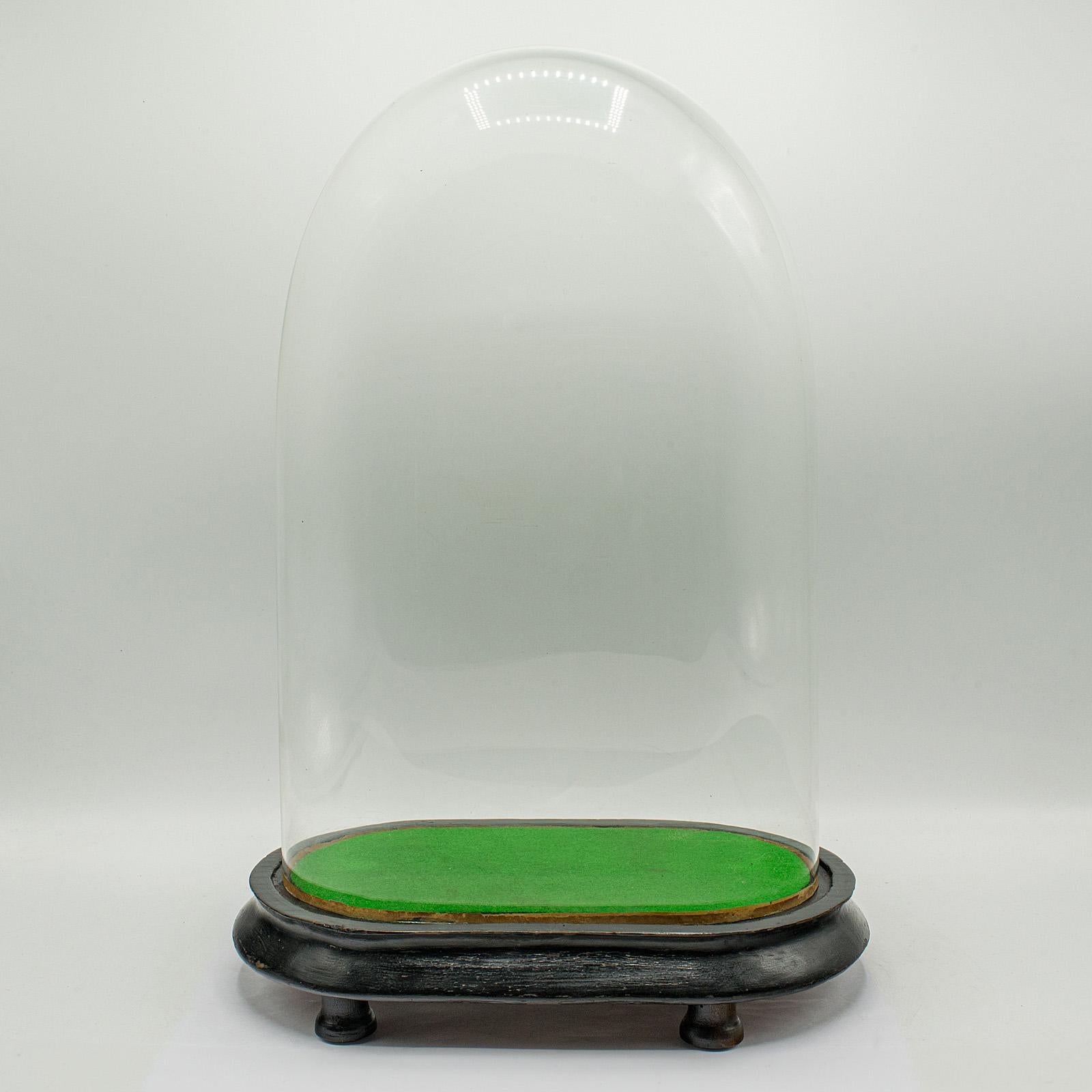 Antique Oval Collector's Dome, English, Glass Clock Case, Botany, Late Victorian For Sale 5