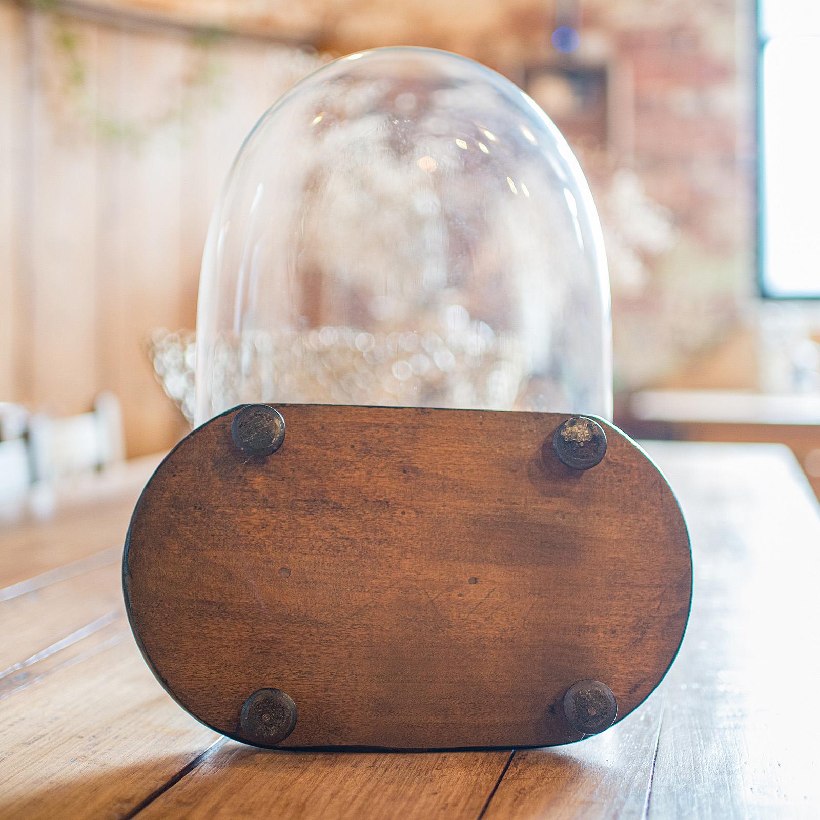 Antique Oval Collector's Dome, English, Glass Clock Case, Botany, Late Victorian For Sale 2