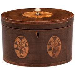 Antique Oval Harewood Tea Caddy, 18th Century