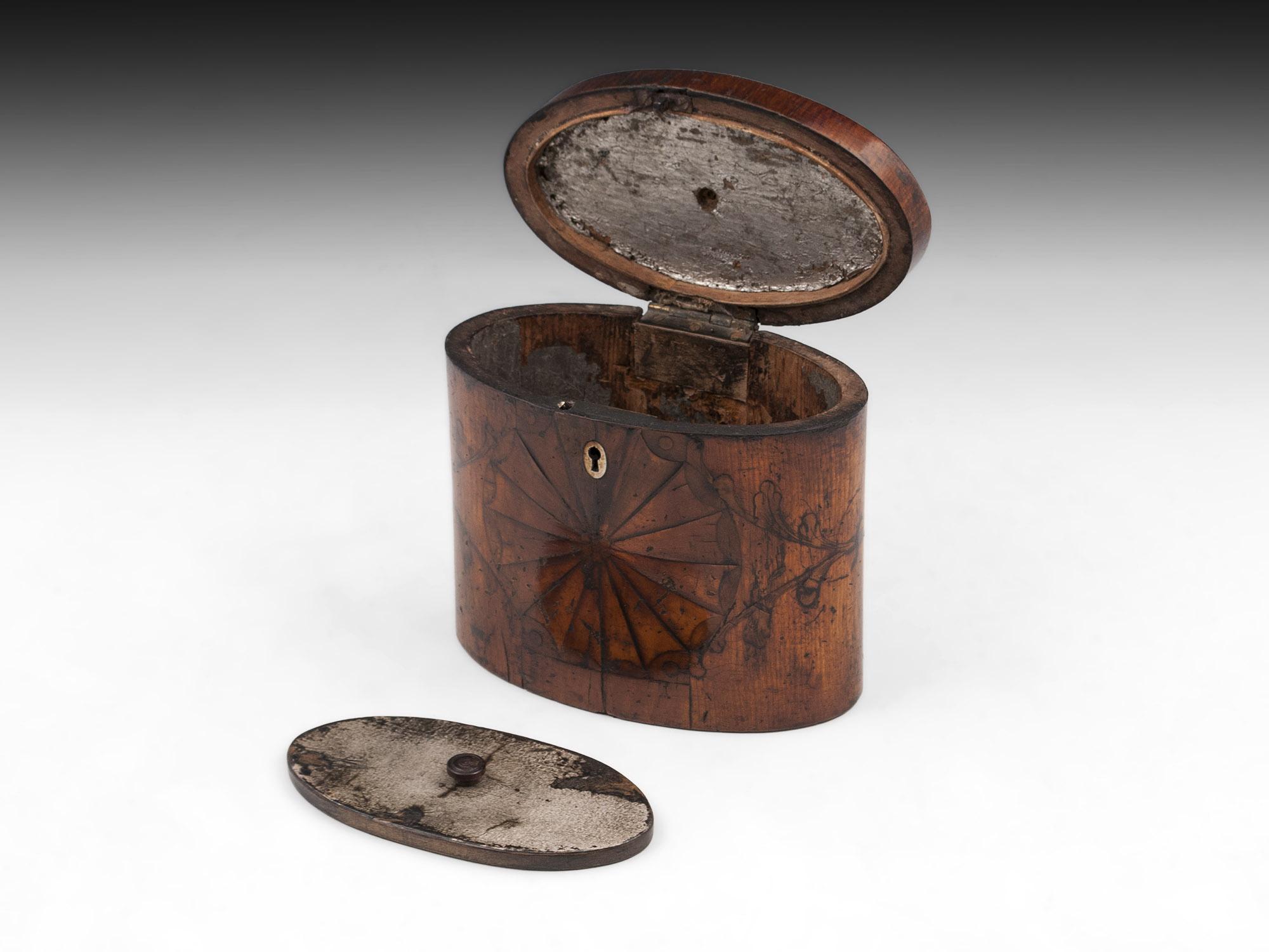 Antique Oval Satinwood and Burr Elm Tea Caddy, 18th Century For Sale 2