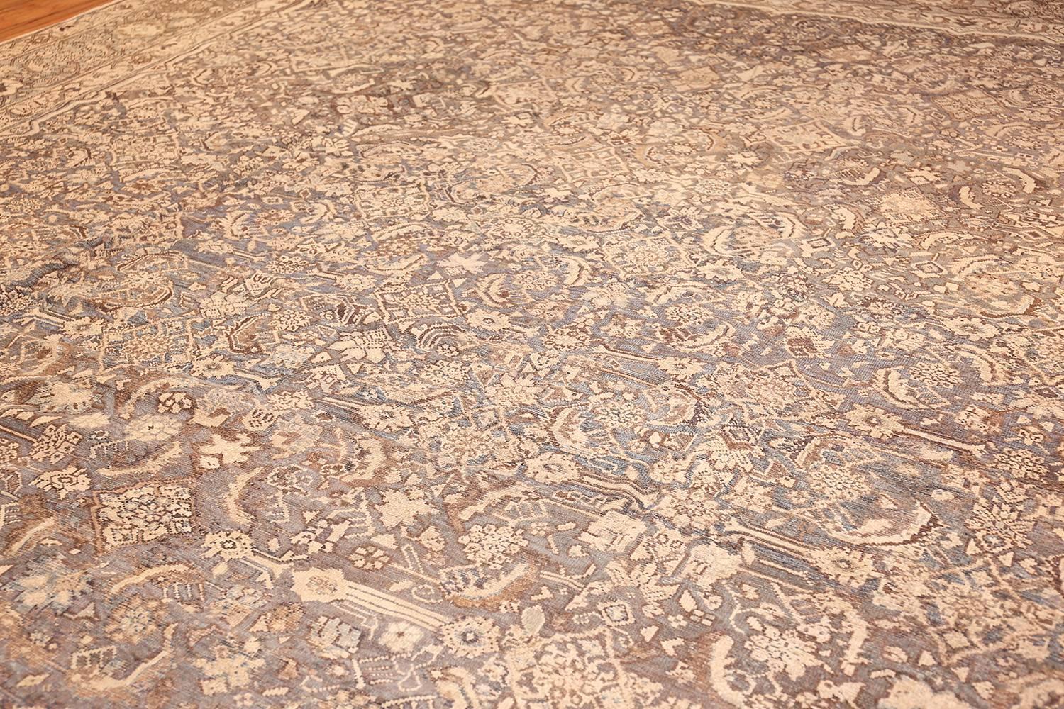 13 ft wide carpet