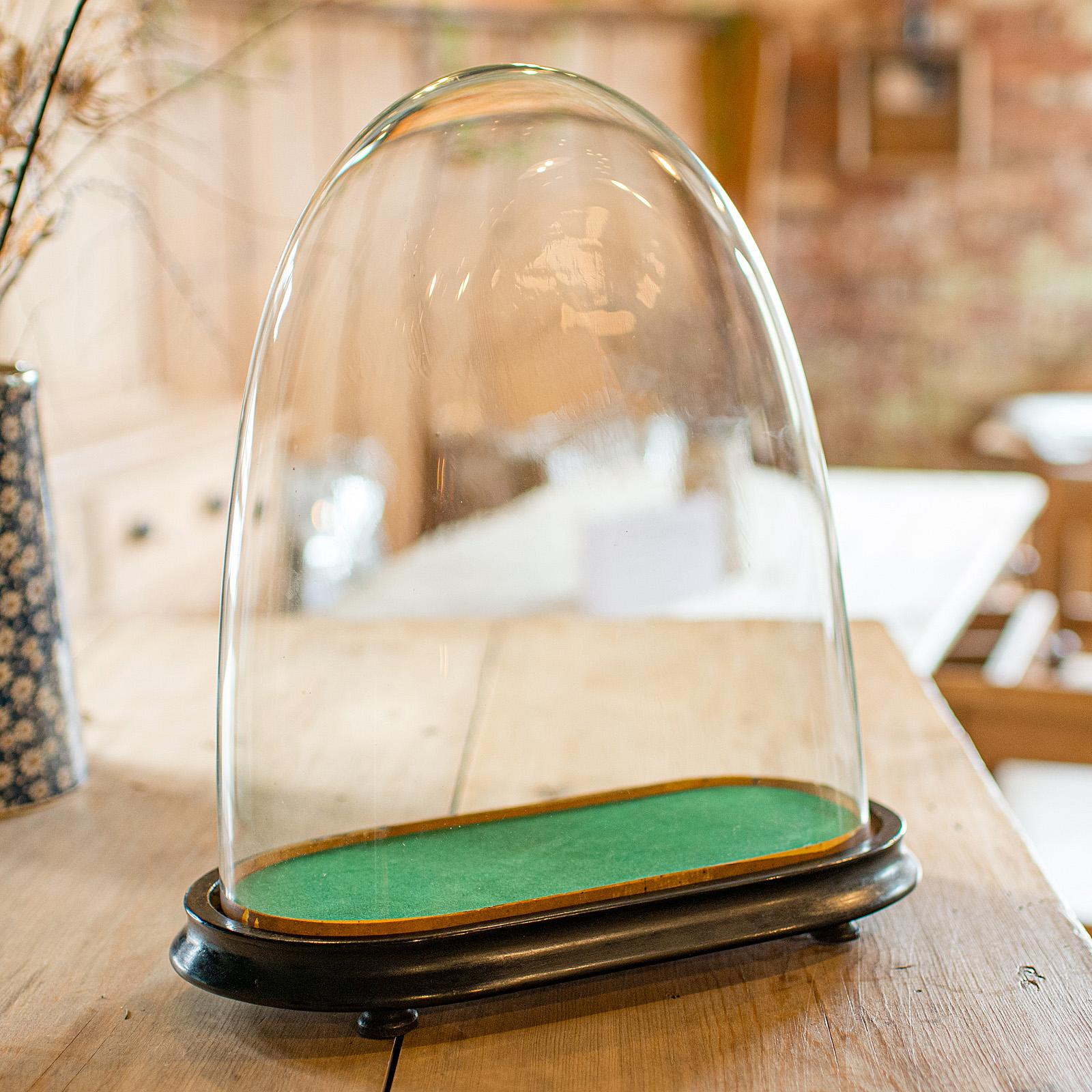 British Antique Ovoid Clock Dome, English, Glass, Taxidermy Display Showcase, Victorian For Sale