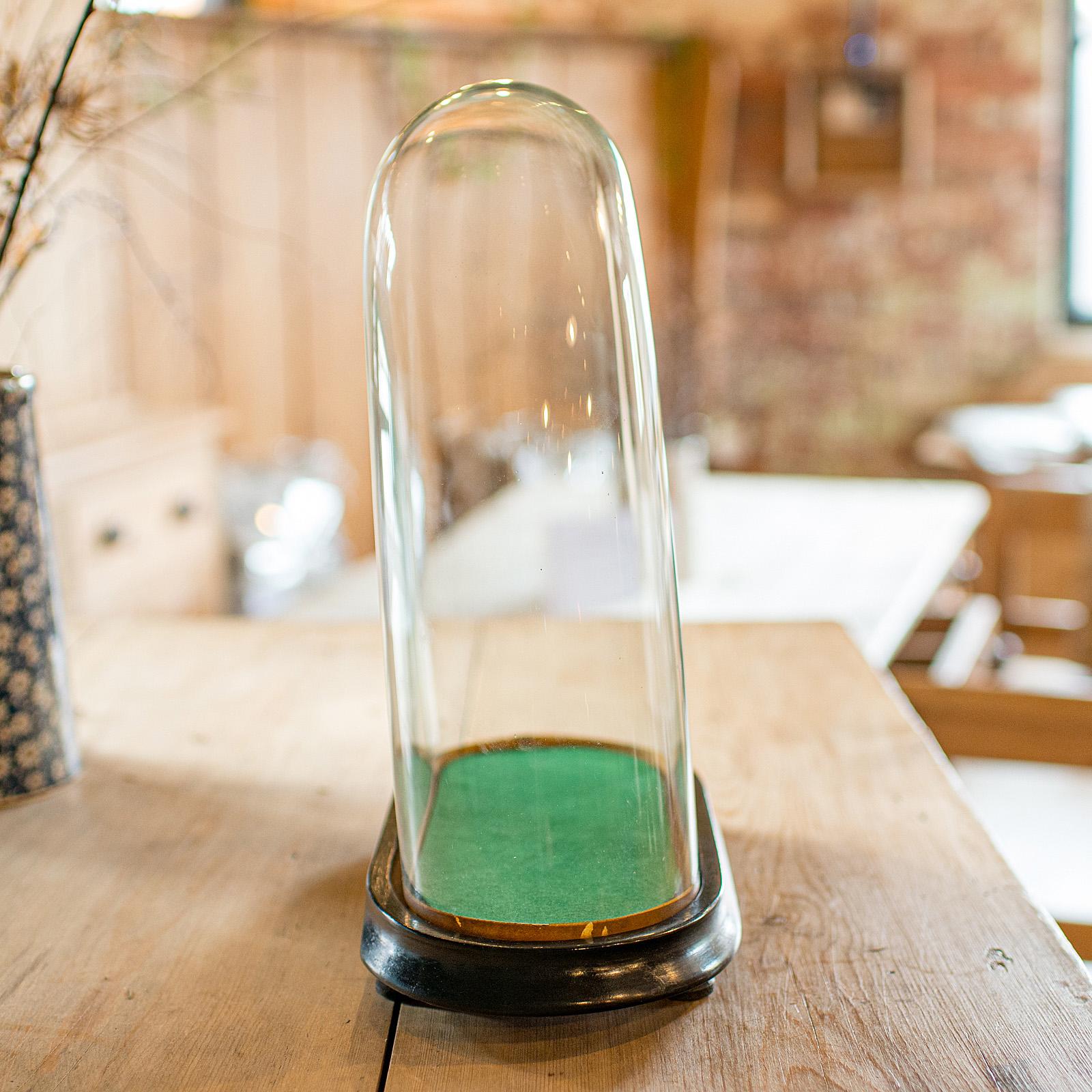 Antique Ovoid Clock Dome, English, Glass, Taxidermy Display Showcase, Victorian In Good Condition For Sale In Hele, Devon, GB