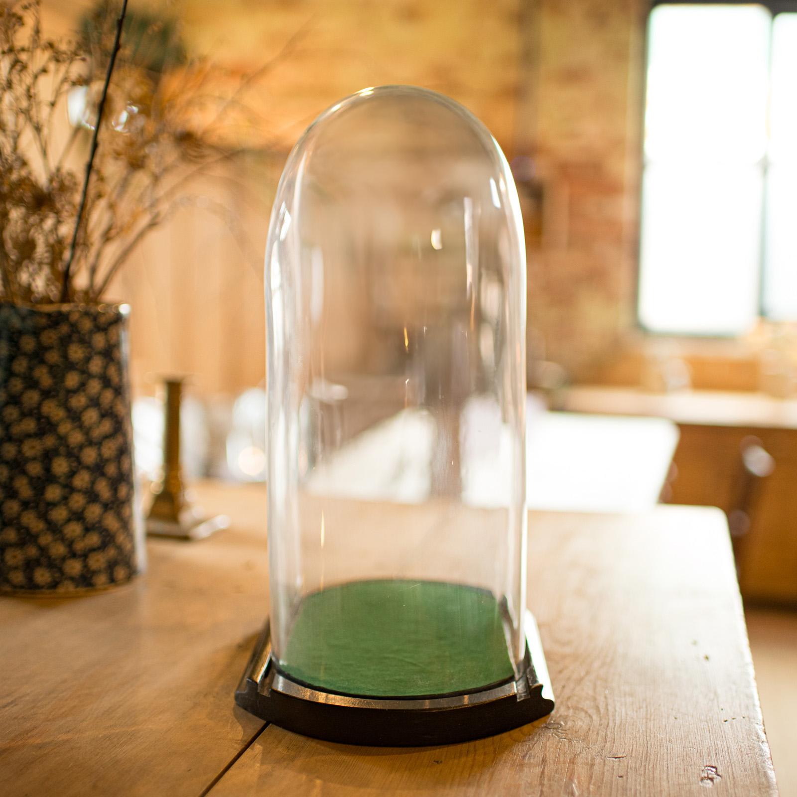 Antique Ovoid Display Dome, English Glass, Taxidermy, Clock, Showcase, Victorian In Good Condition For Sale In Hele, Devon, GB
