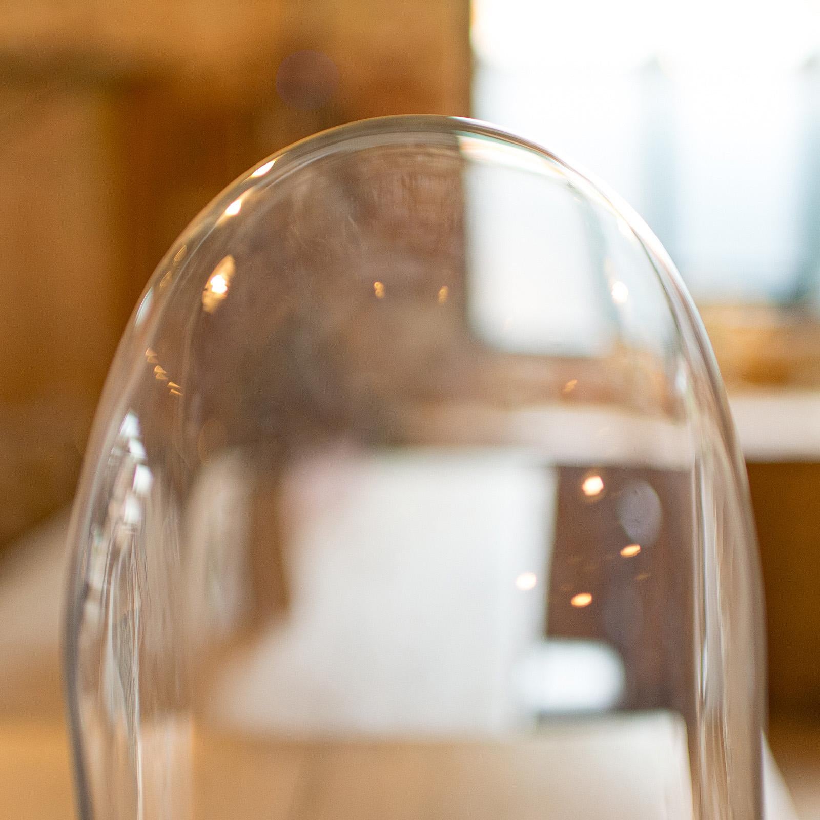 19th Century Antique Ovoid Display Dome, English Glass, Taxidermy, Clock, Showcase, Victorian For Sale
