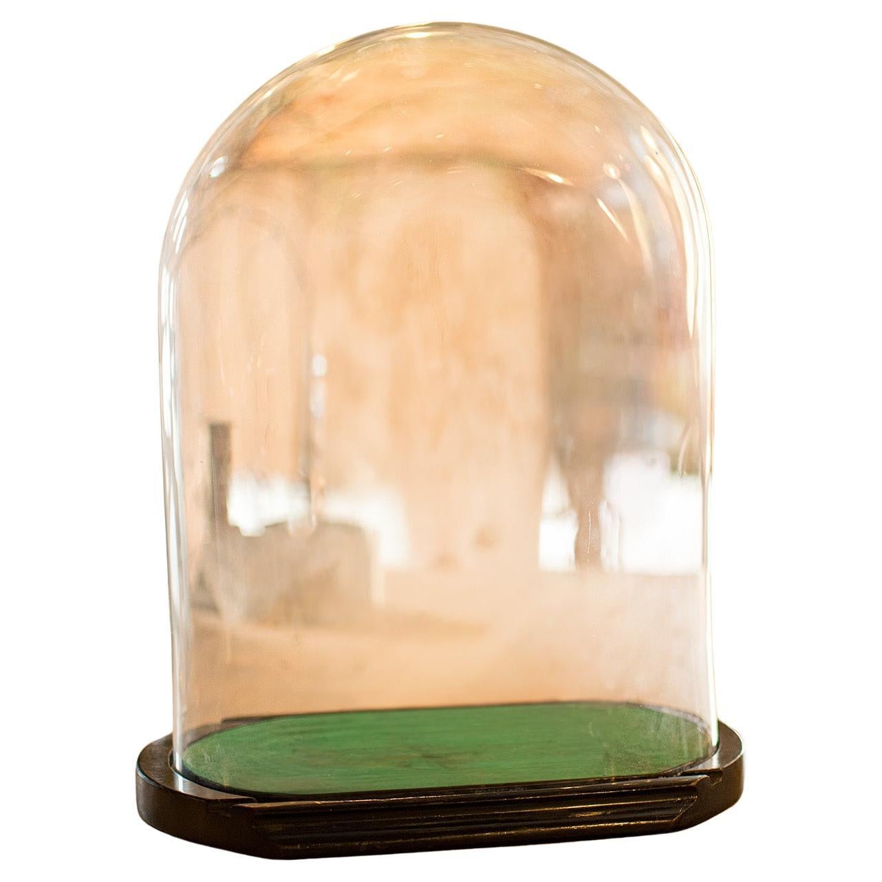 Antiker Ovoid Display Dome, Englisches Glas, Taxidermie, Uhr, Vitrine, Viktorianisch