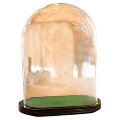 Antiker Ovoid Display Dome, Englisches Glas, Taxidermie, Uhr, Vitrine, Viktorianisch