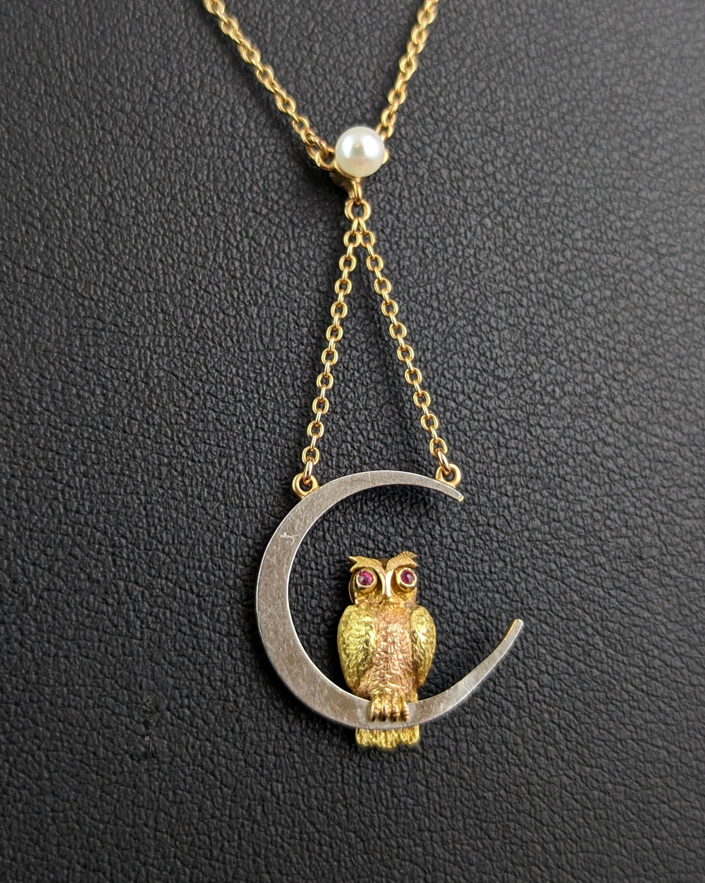 You can't help but be enchanted by this beautiful and rare antique owl and crescent moon pendant necklace.

Did you ever come across such a beautiful and symbolic piece of antique jewellery?!

This magnificent necklace is a Y shaped pendant drop