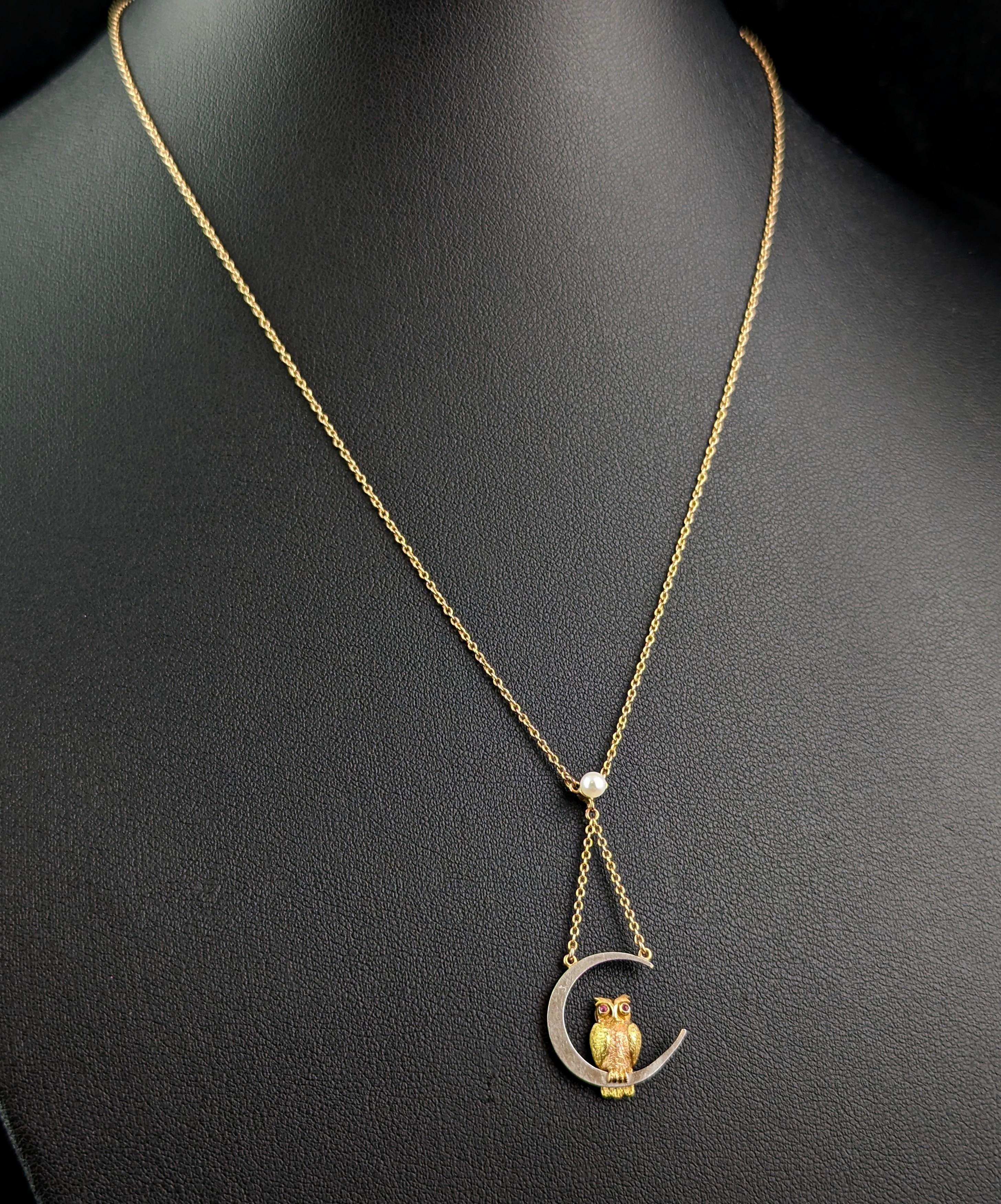 Edwardian Antique Owl and Crescent moon pendant necklace, 15k gold and platinum, Ruby For Sale