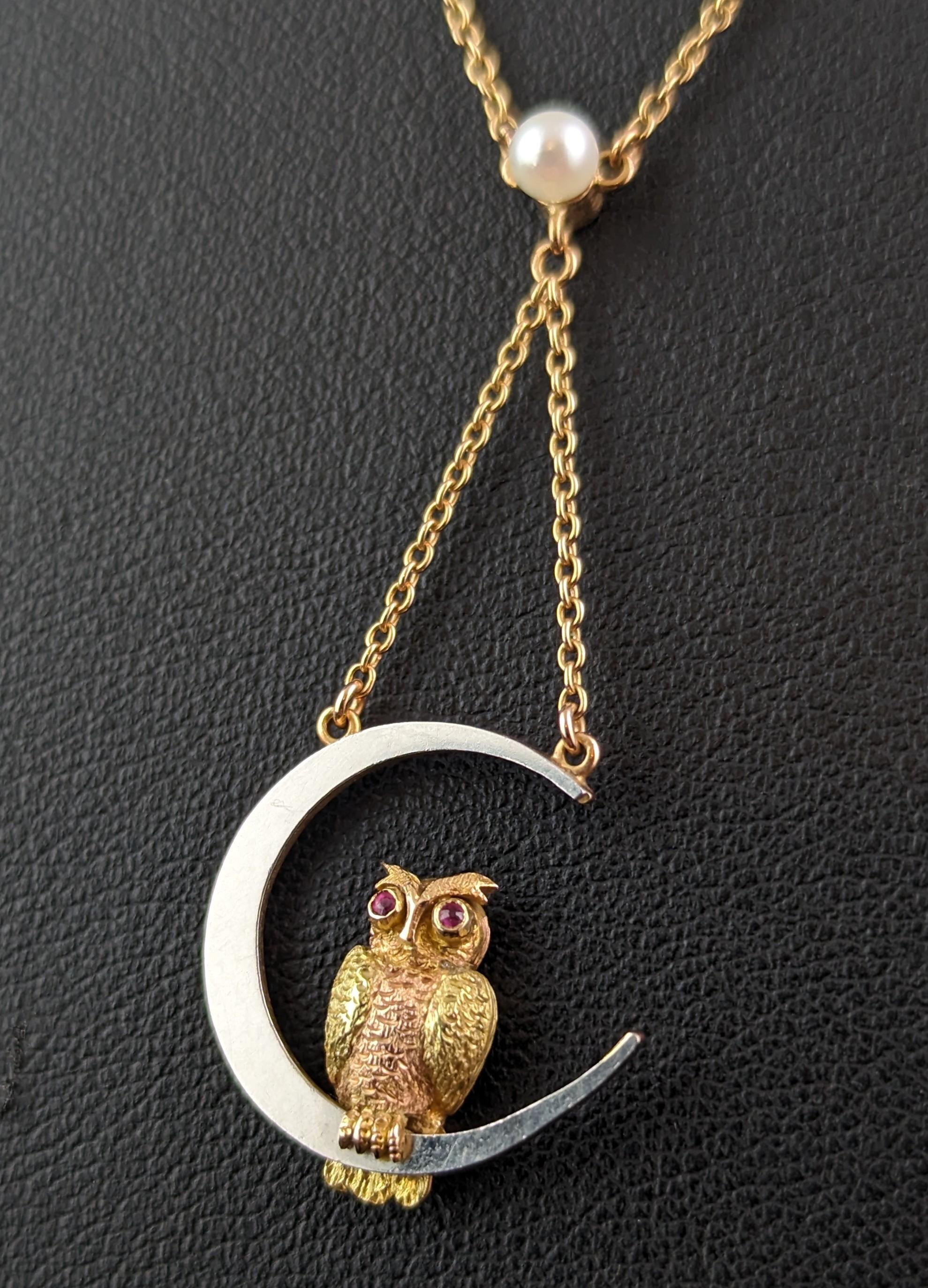 Antique Owl and Crescent moon pendant necklace, 15k gold and platinum, Ruby For Sale 1