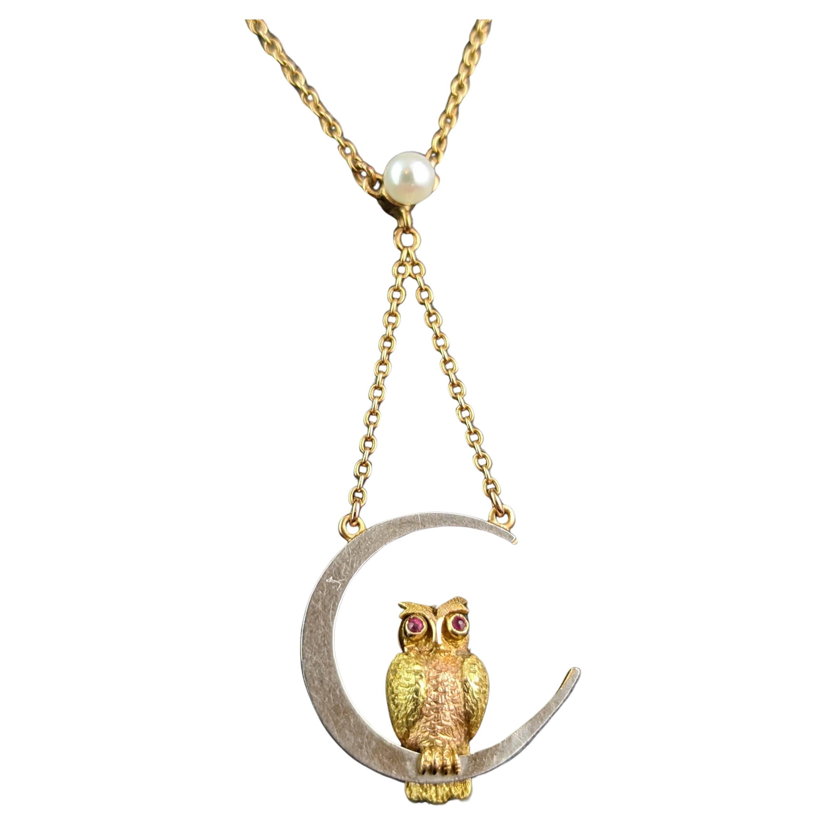 Antique Owl and Crescent moon pendant necklace, 15k gold and platinum, Ruby For Sale