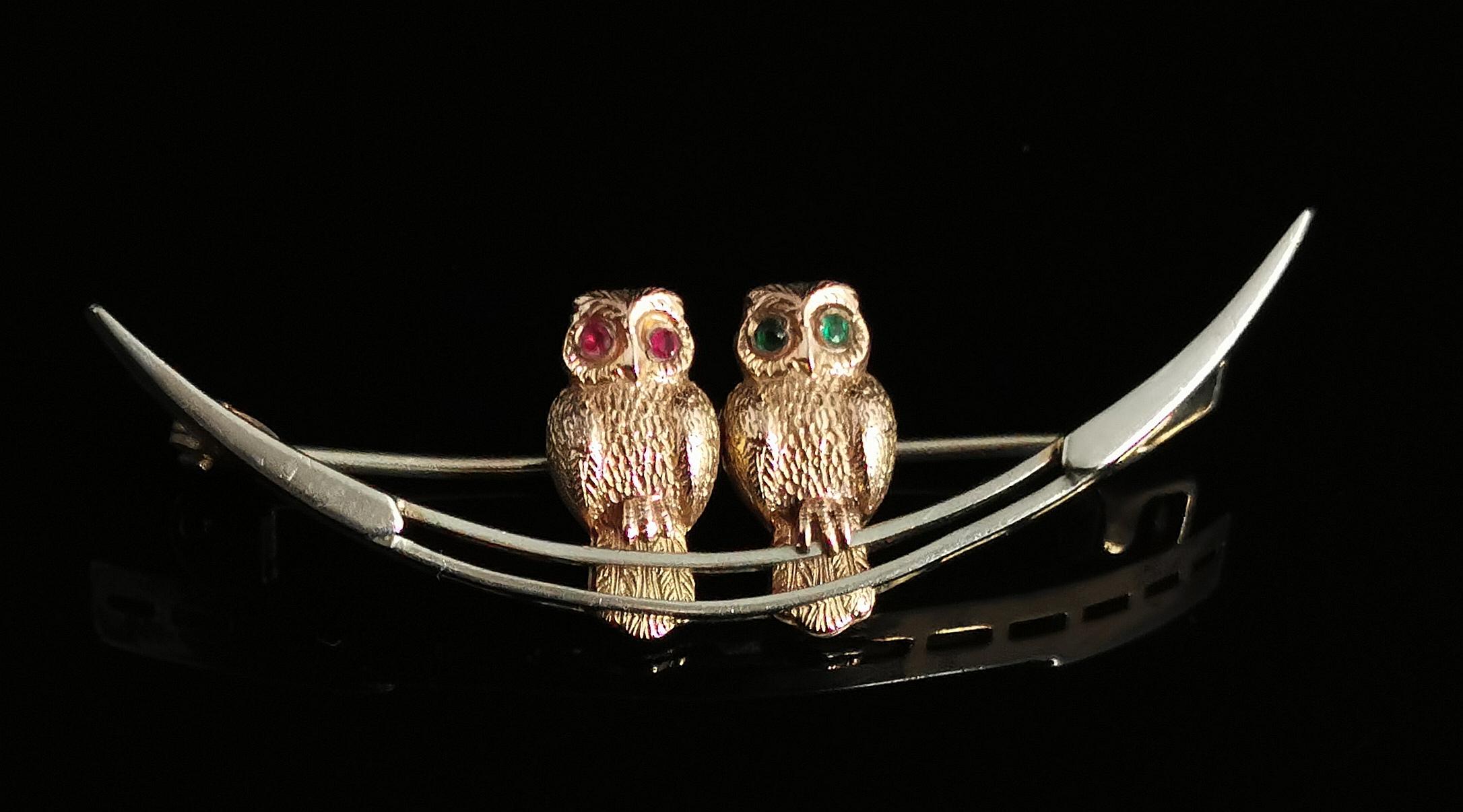 Antique Owls and Crescent Brooch, Sterling Silver, 9k Gold and Paste Stone 3