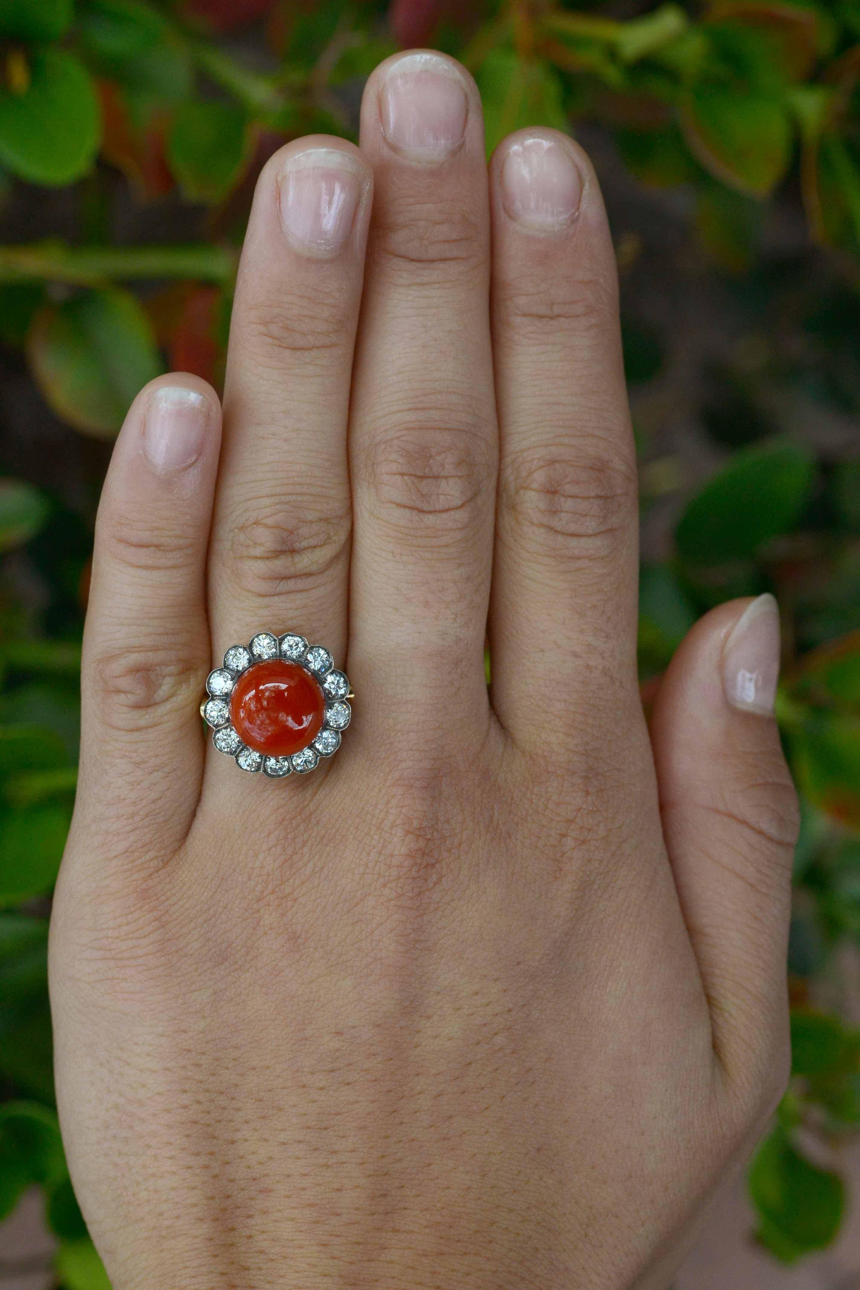 A fabulous find from the late 1800s-early 1900s Victorian era, this ox blood coral cocktail ring possesses a most vivid and captivating rare color. Set as a dome or cluster, the halo set with 1 carat of shimmering, fiery, old mine cut diamonds