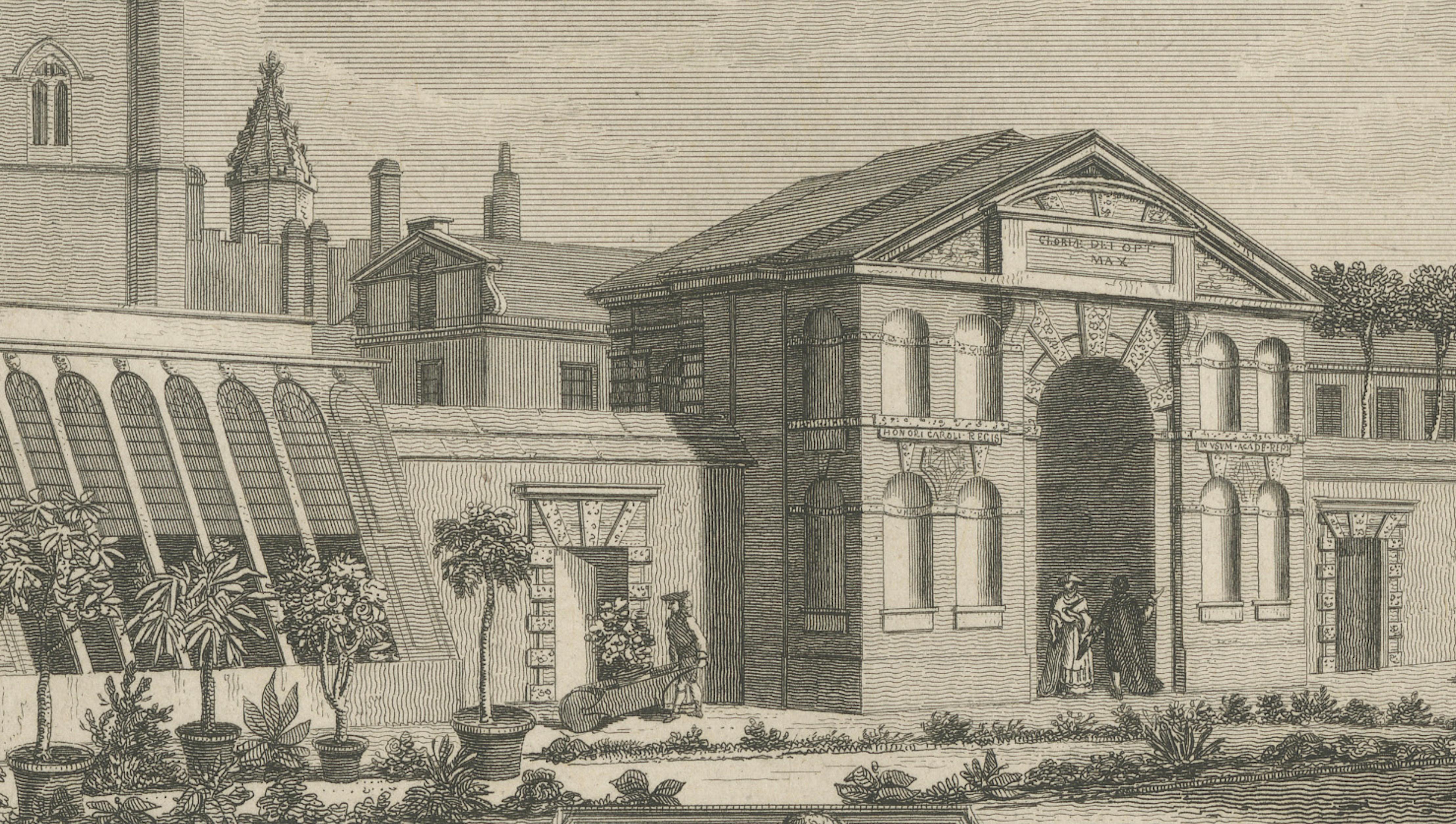 Antique Oxford Botanic Garden Engraving, Oxford Almanack, Benjamin Green, 1820