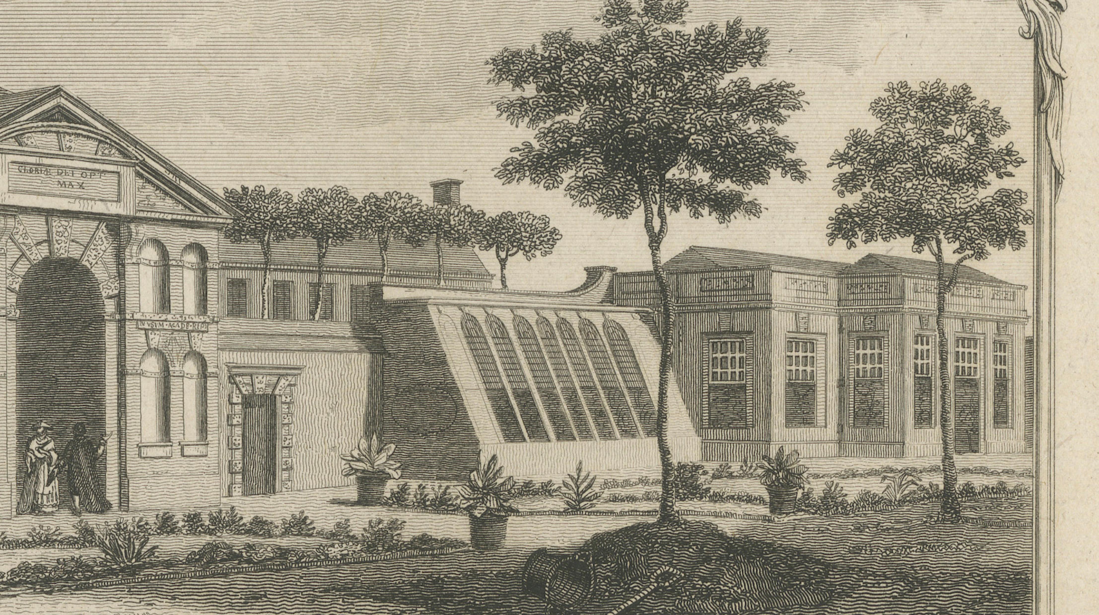 Antique Oxford Botanic Garden Engraving, Oxford Almanack, Benjamin Green, 1820