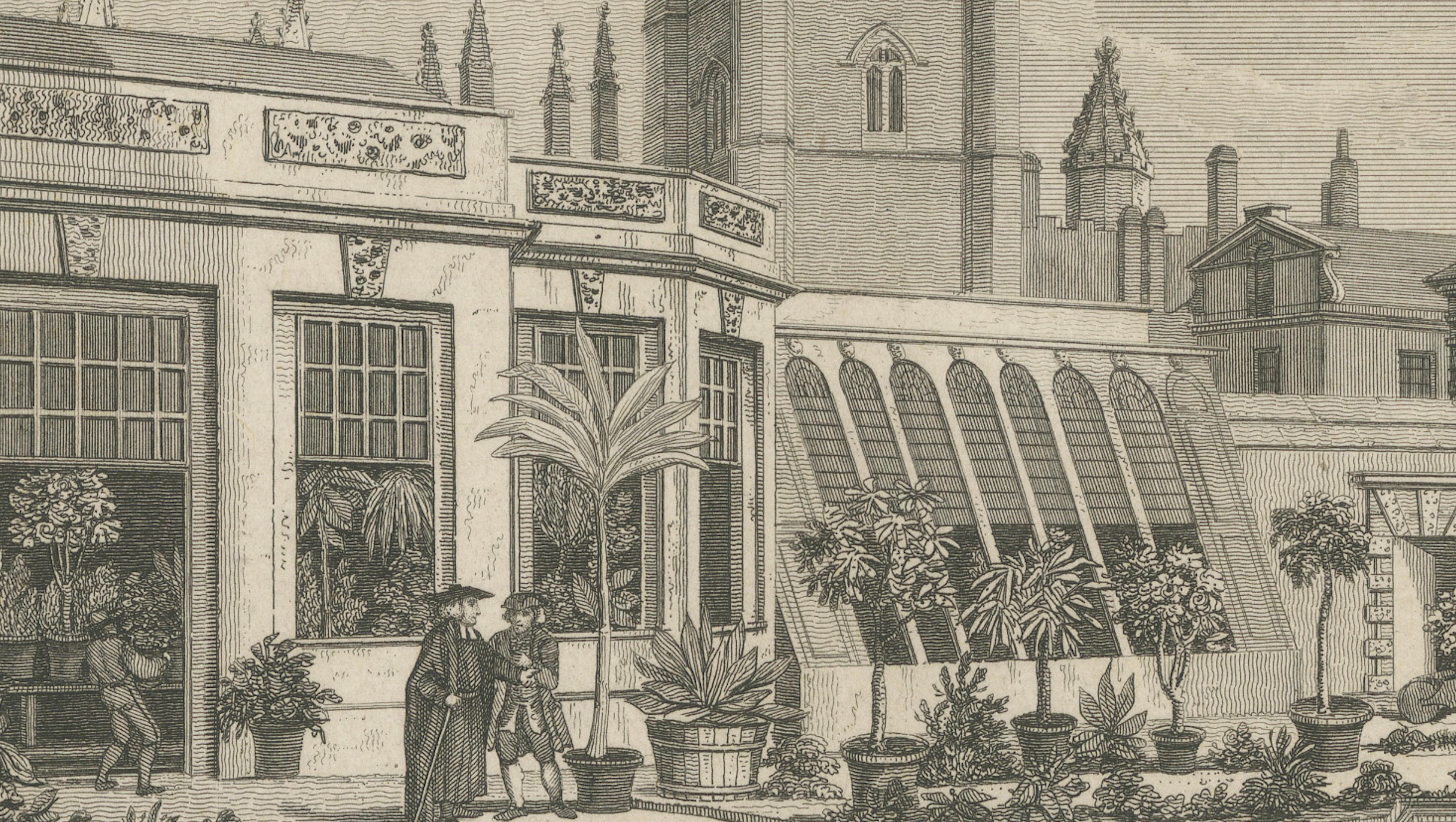 Antique Oxford Botanic Garden Engraving, Oxford Almanack, Benjamin Green, 1820