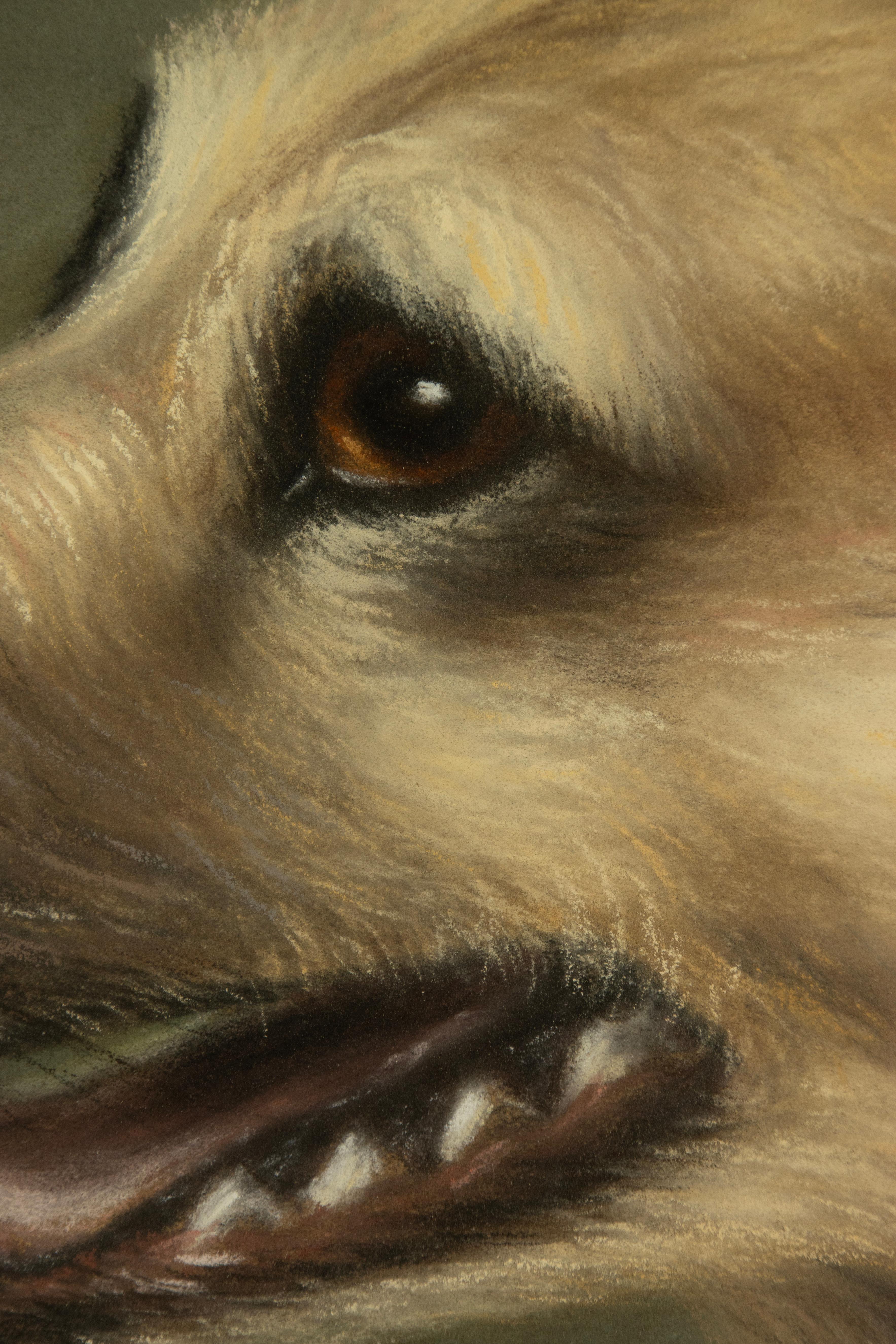 Peinture ancienne d'un chien de berger - Portrait - par Zélia Klerx, craie sur papier en vente 2