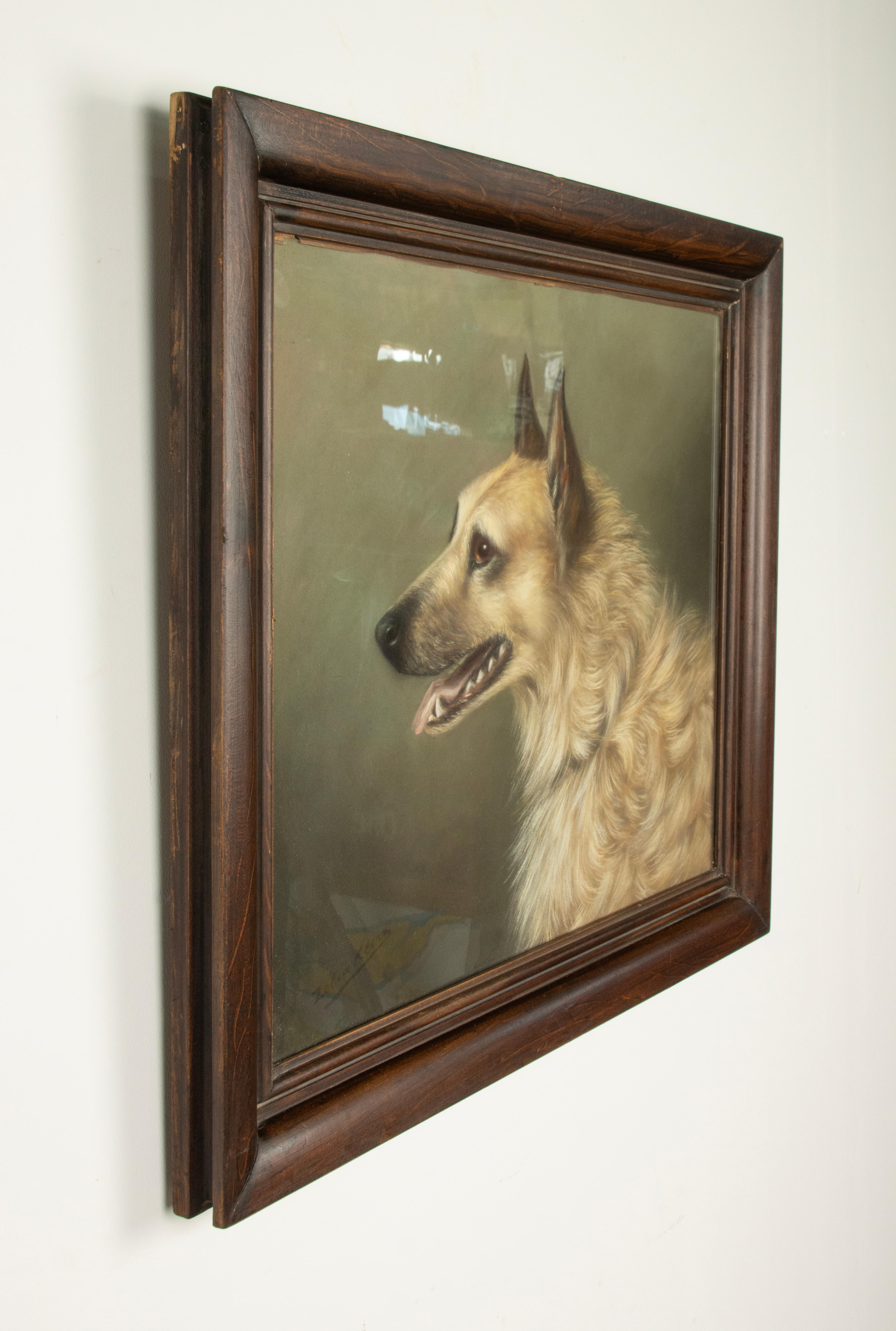 Peinture ancienne d'un chien de berger - Portrait - par Zélia Klerx, craie sur papier en vente 3