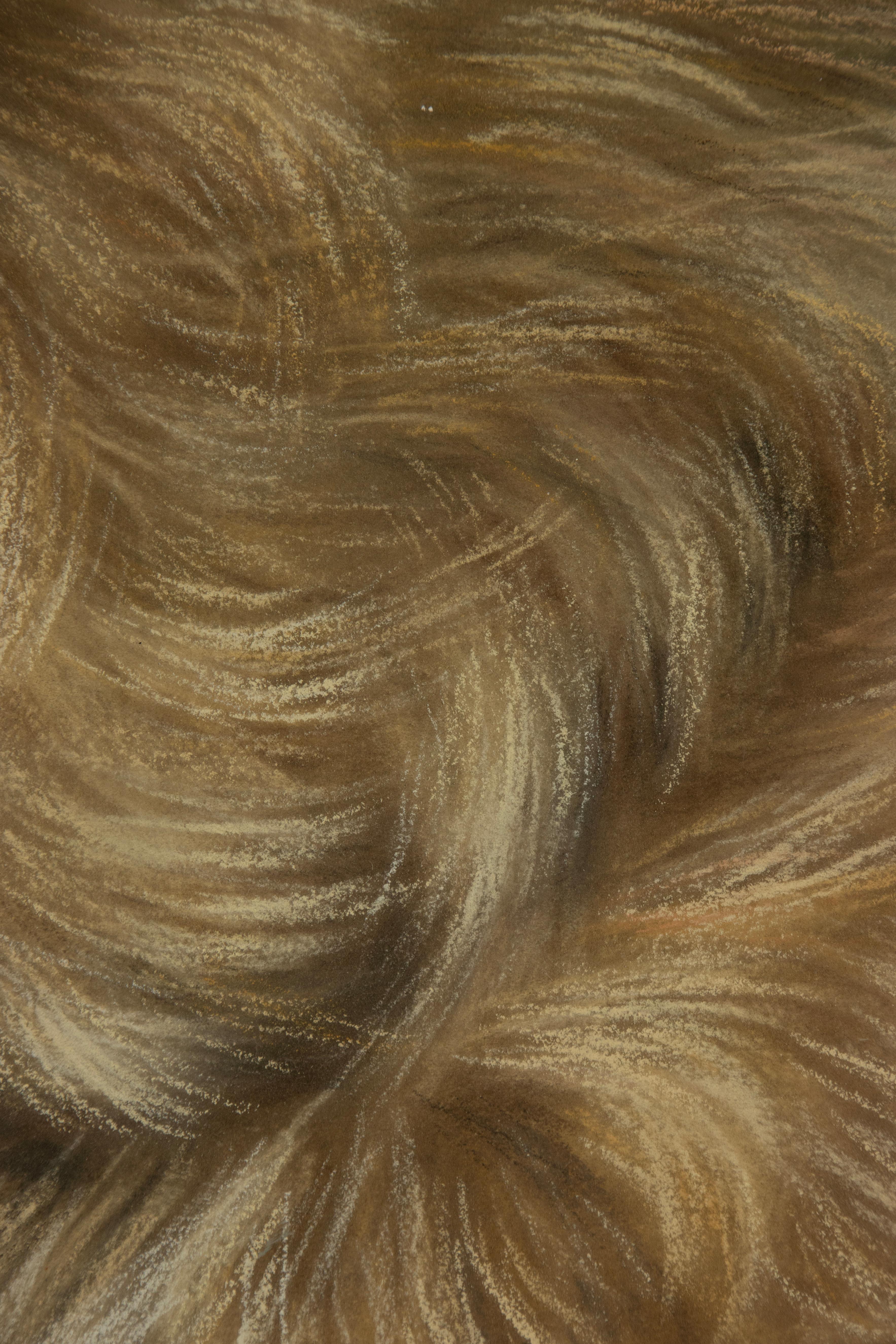 Peinture ancienne d'un chien de berger - Portrait - par Zélia Klerx, craie sur papier en vente 6