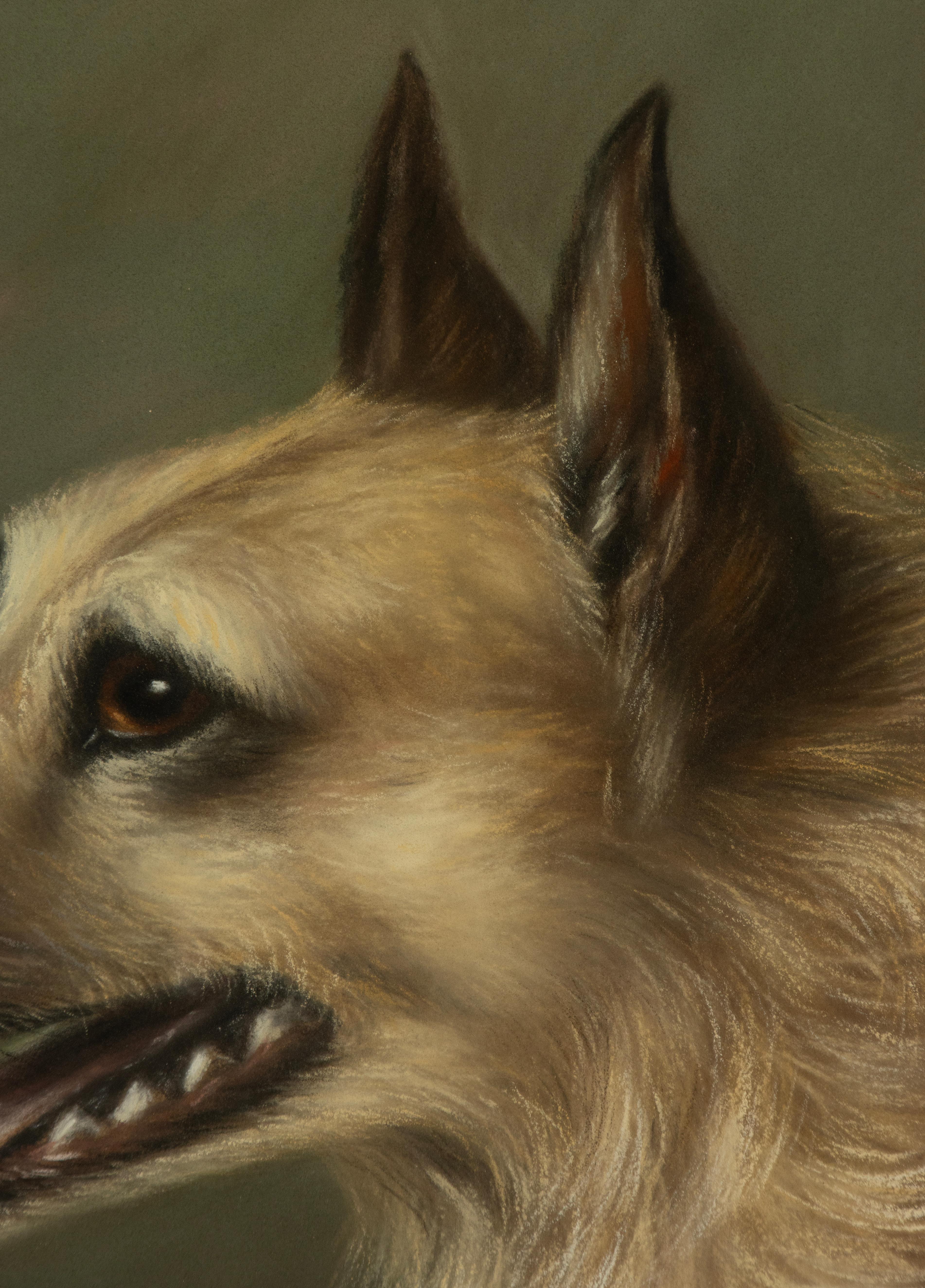 Peinture ancienne d'un chien de berger - Portrait - par Zélia Klerx, craie sur papier en vente 7