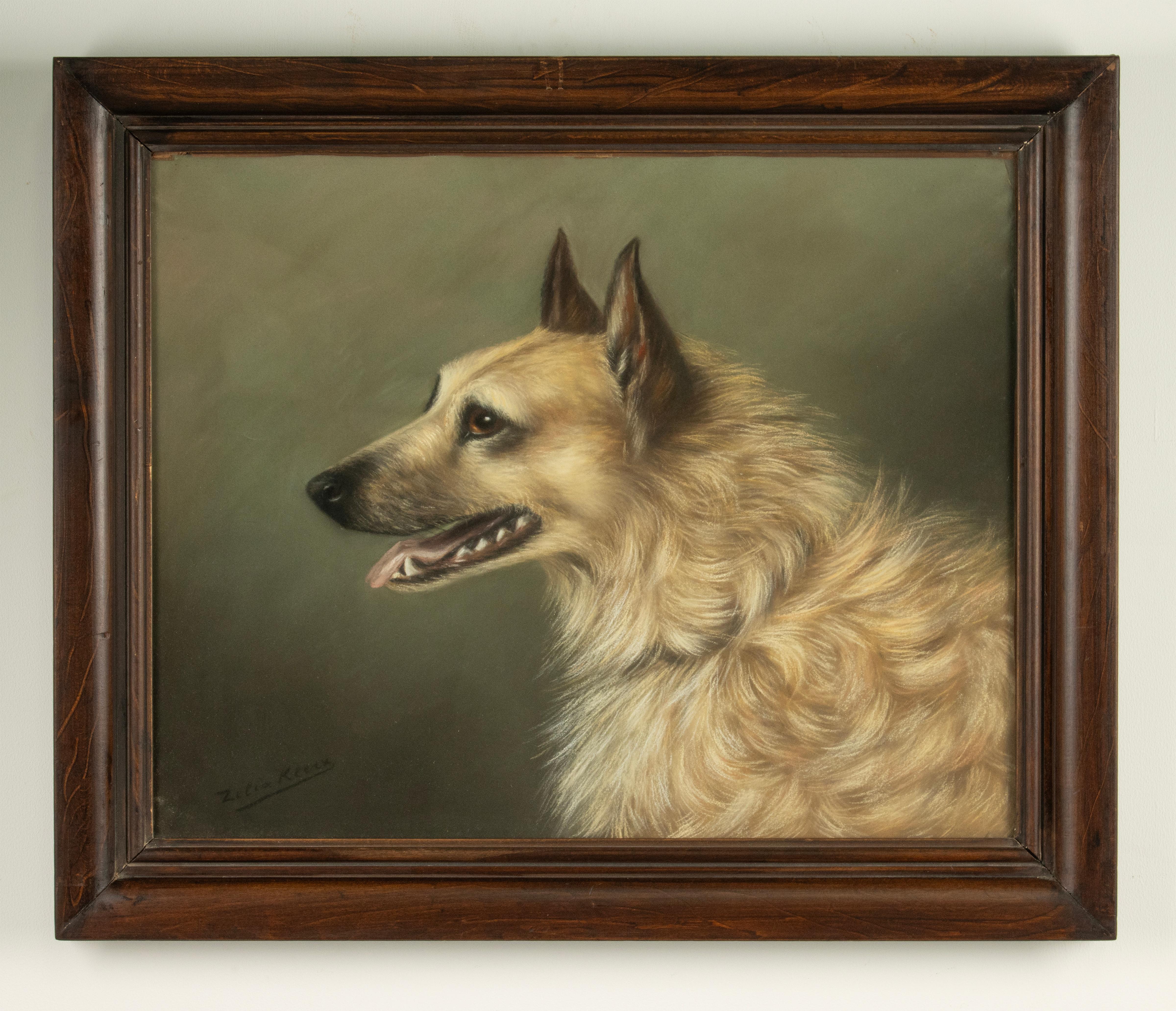 Magnifique dessin ancien d'un chien de type berger, craie sur papier. Le dessin est très bien exécuté, la tête, la fourrure du chien, les couleurs. Les couleurs sont bien conservées avec un verre.

Le tableau est signé Zélia Klerx, c'était une