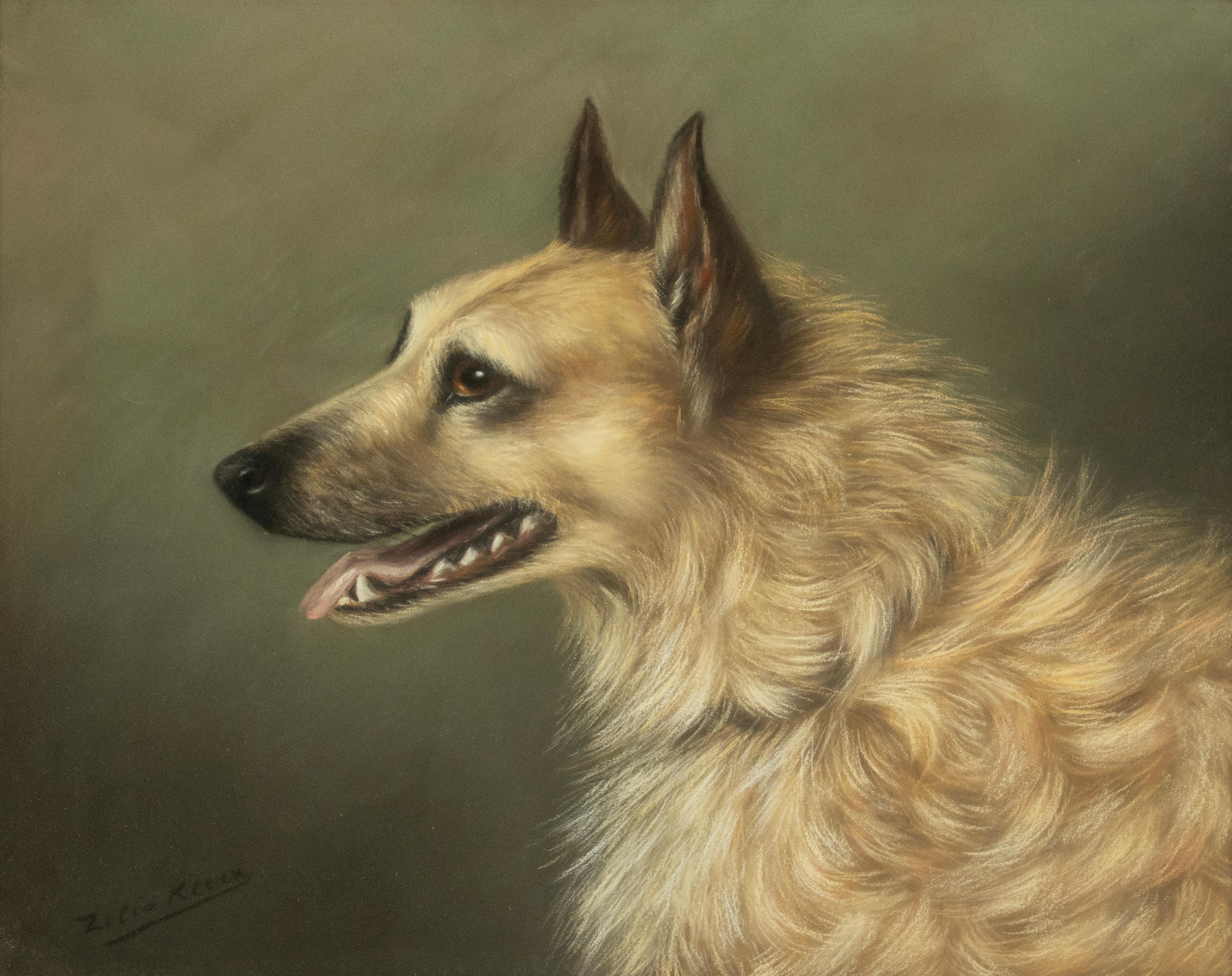 Belle Époque Peinture ancienne d'un chien de berger - Portrait - par Zélia Klerx, craie sur papier en vente