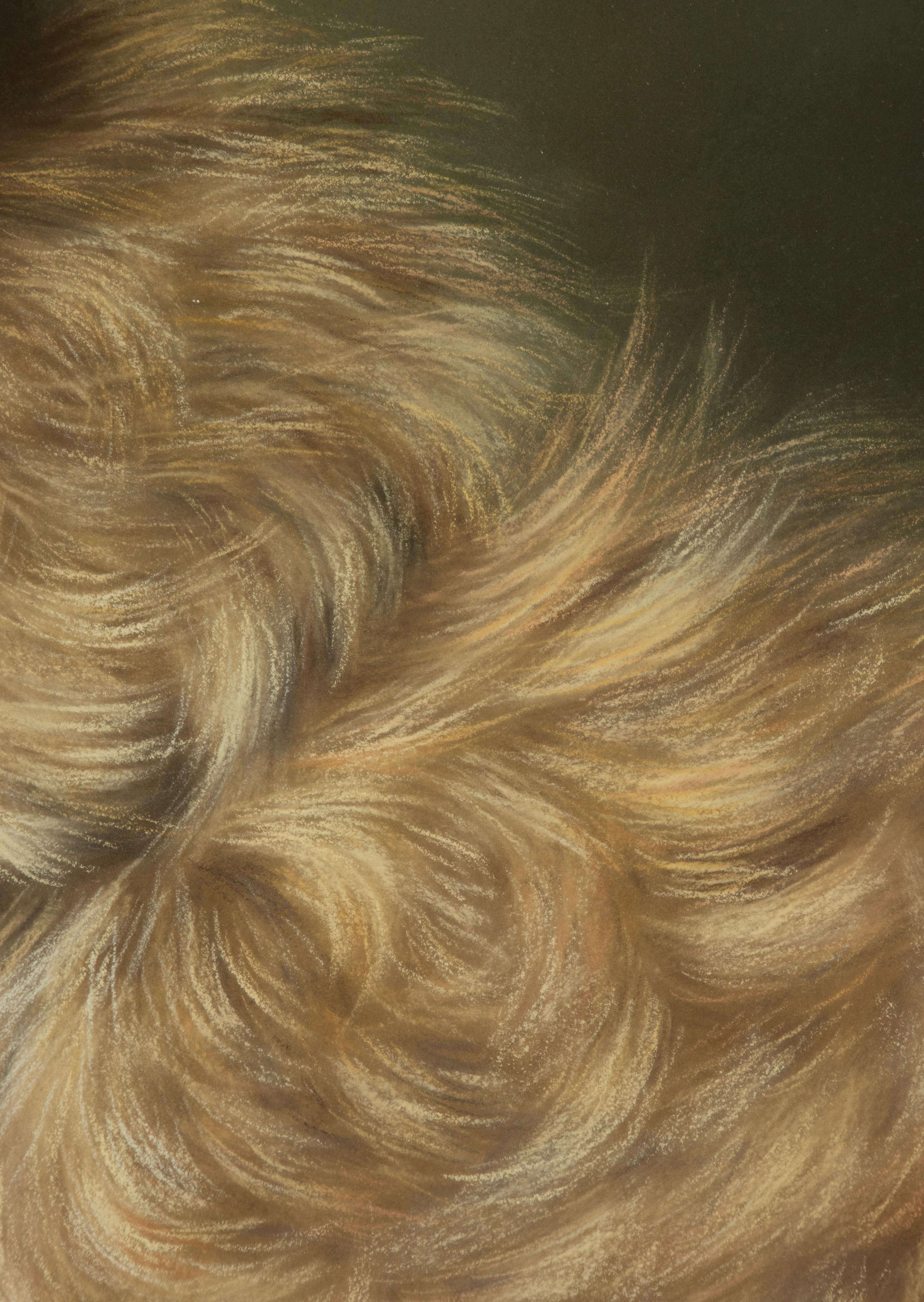 Peinture ancienne d'un chien de berger - Portrait - par Zélia Klerx, craie sur papier Bon état - En vente à Casteren, Noord-Brabant