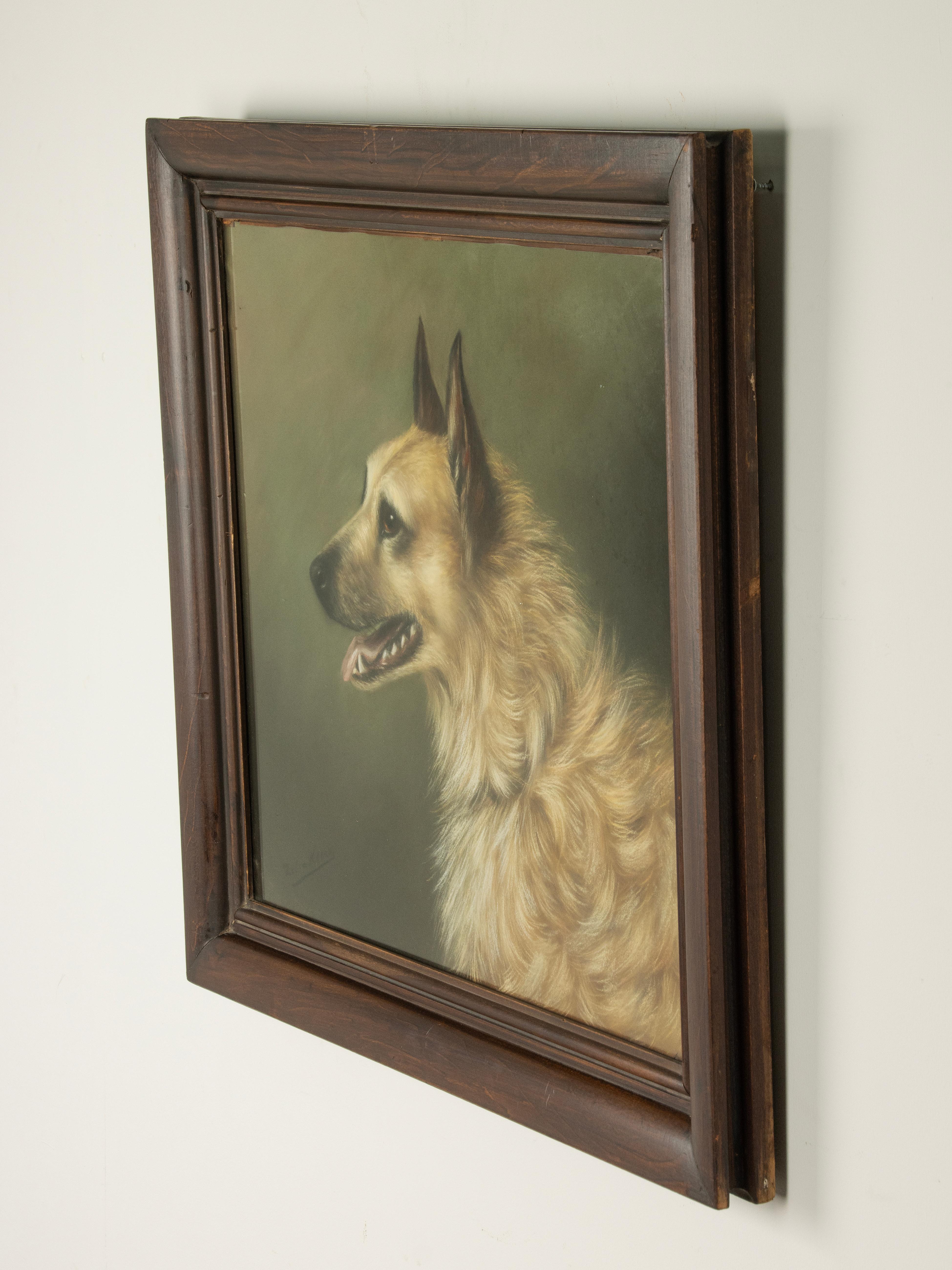 Fin du XIXe siècle Peinture ancienne d'un chien de berger - Portrait - par Zélia Klerx, craie sur papier en vente