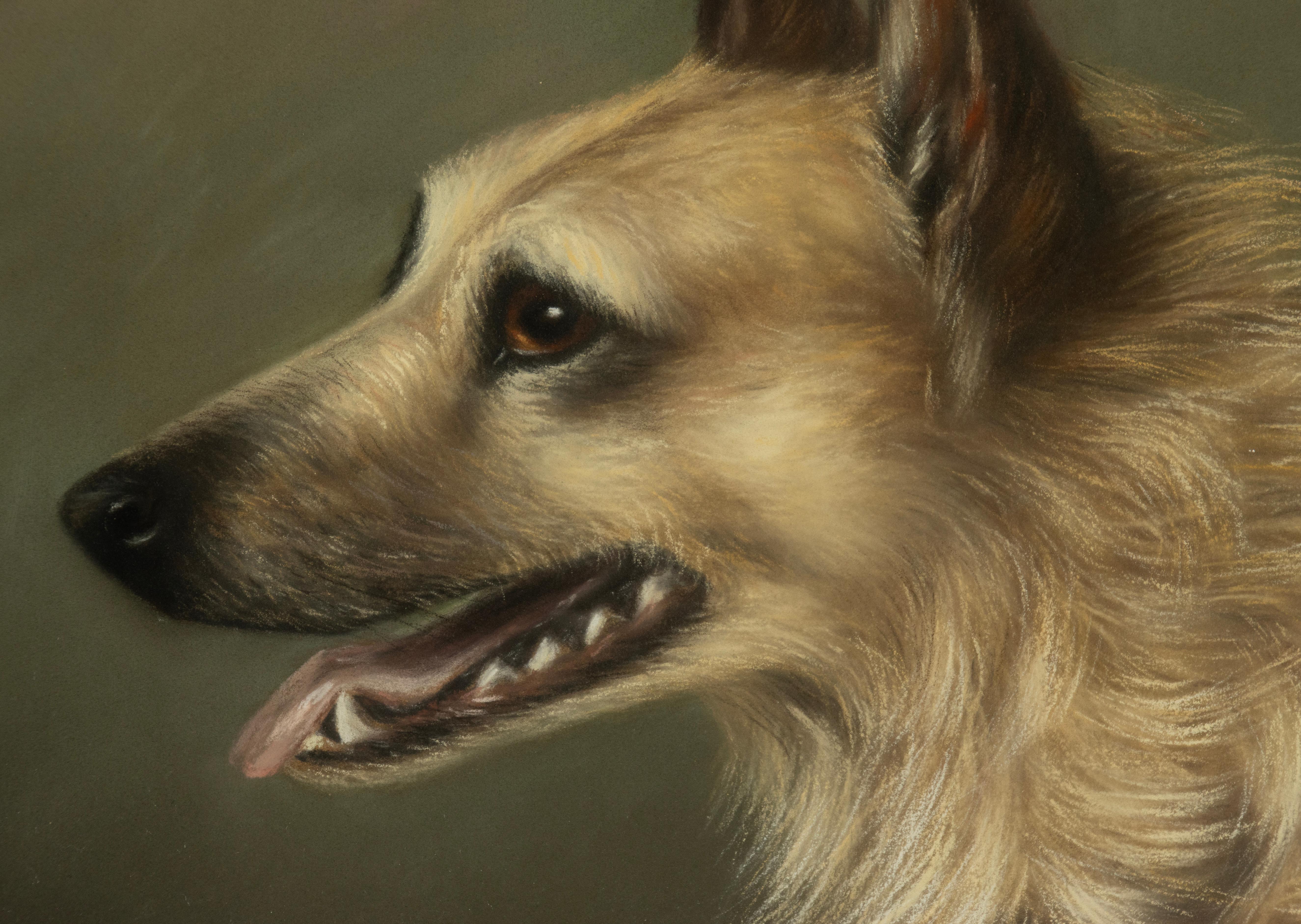 Verre Peinture ancienne d'un chien de berger - Portrait - par Zélia Klerx, craie sur papier en vente