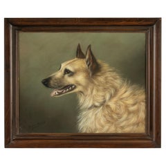 Dipinto antico di un cane da pastore - Ritratto - di Zélia Klerx, gesso su carta