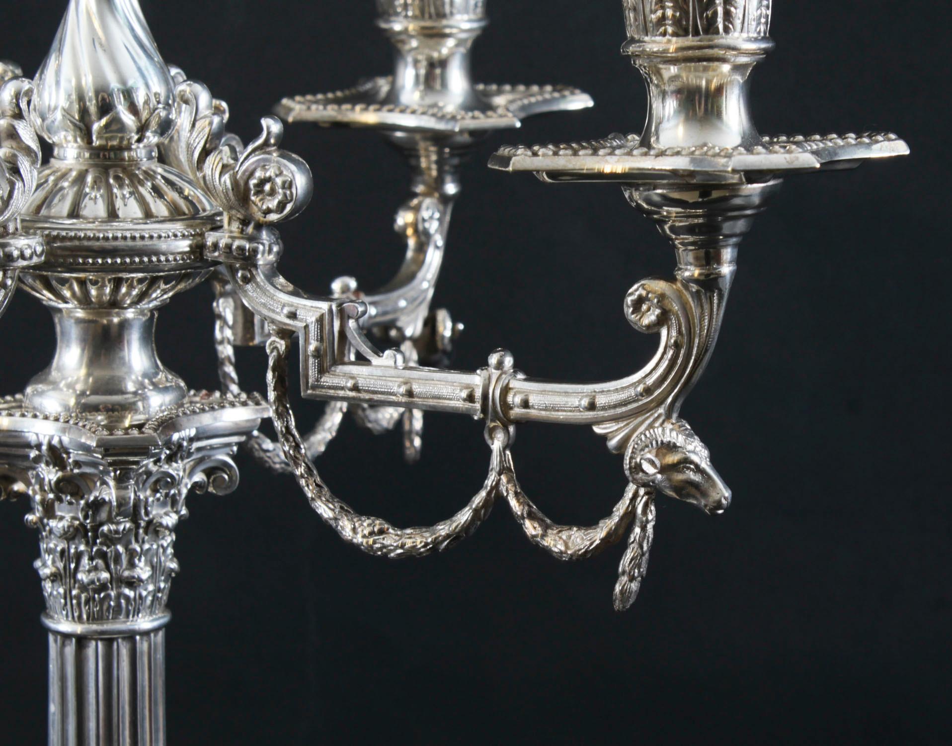 Coppia antica di candelabri edoardiani a 5 luci placcati in argento del XX secolo in vendita 1