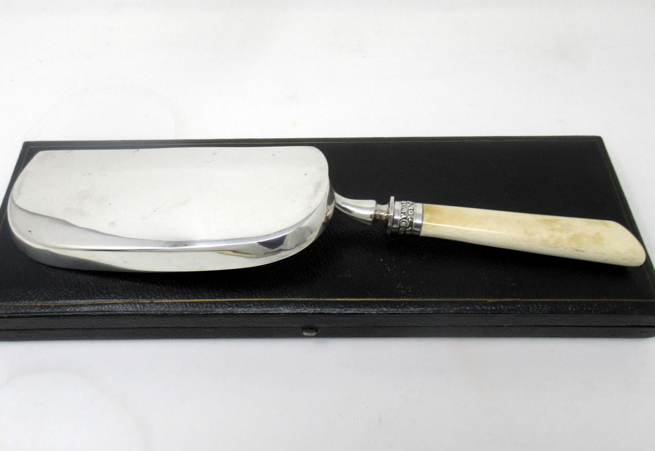 Par Antiguo Inglés Victoriano de Plata de Ley Servidores de Pescado Tenedores Bandeja para Migas Plata esterlina en venta