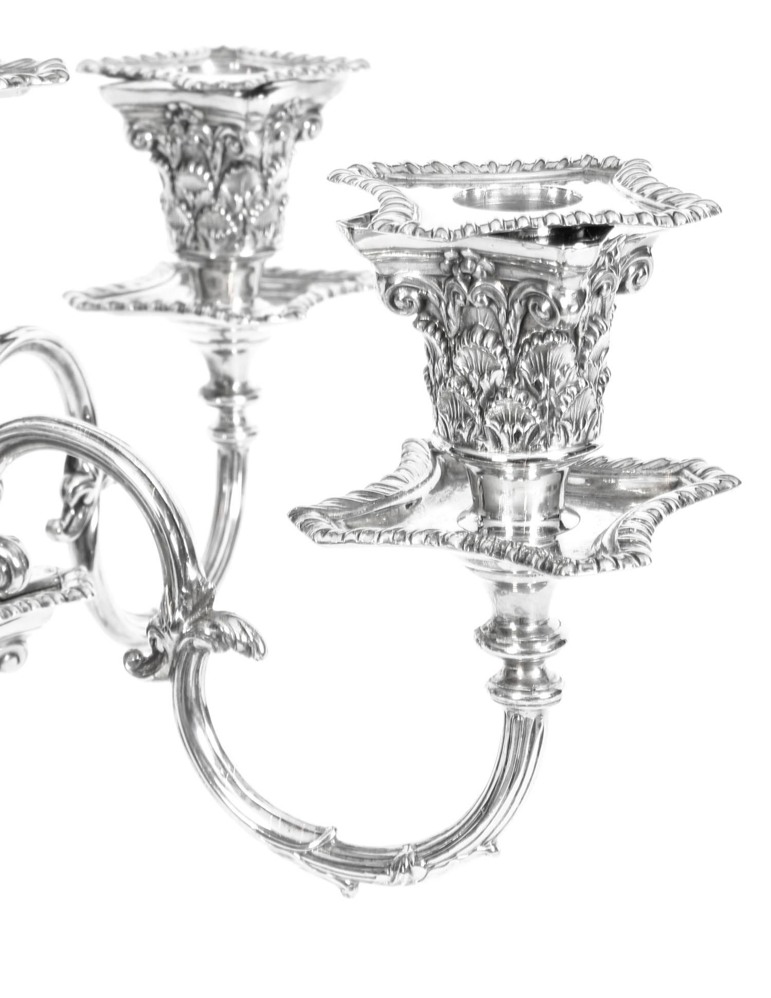 Late 19th Century Antique Pair of Five-Light Candelabra by Mappin & Webb, 19th Century