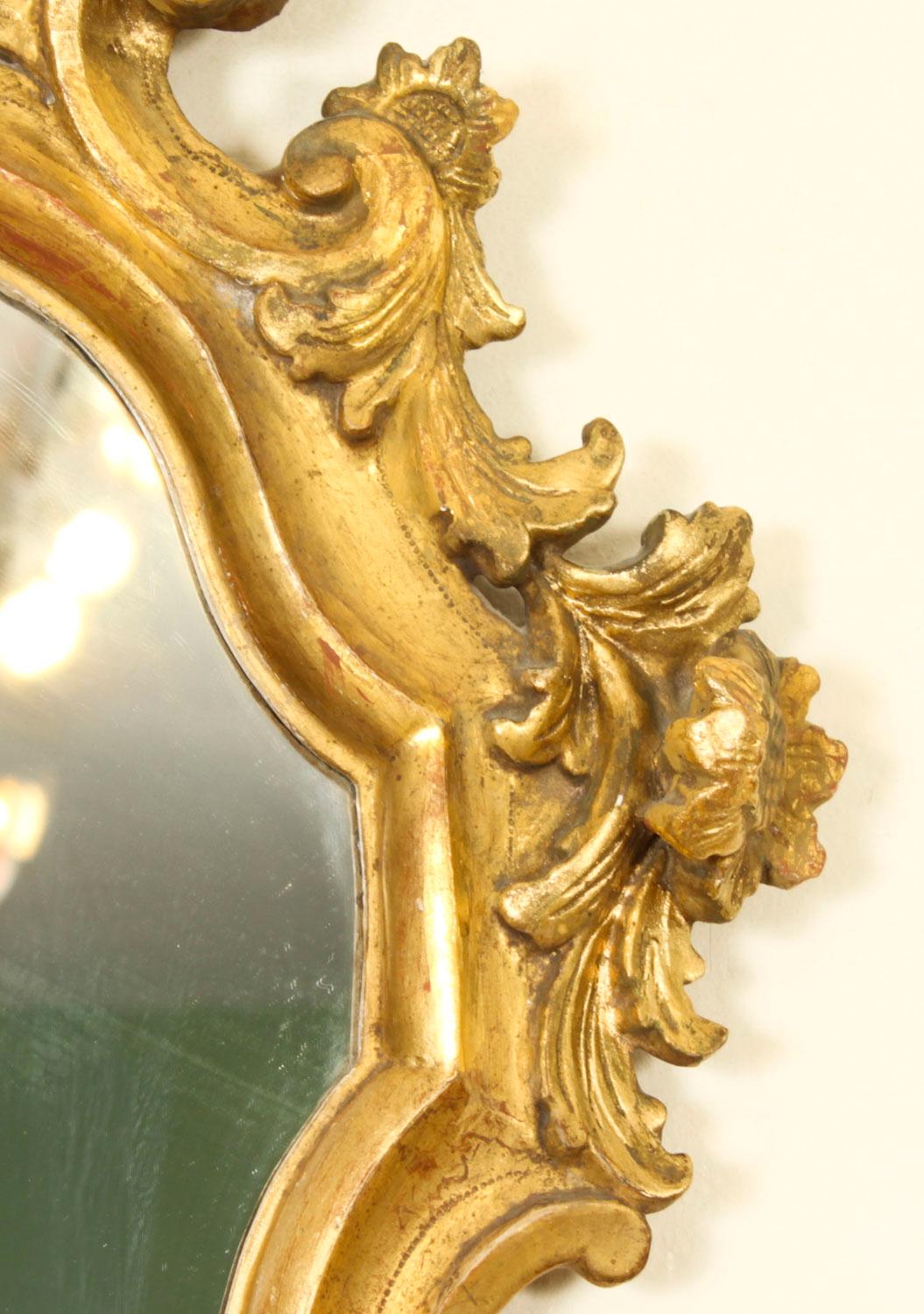 Antique Pair Florentine Rococo Giltwood Mirrors 19th Century 77x42cm For Sale 7