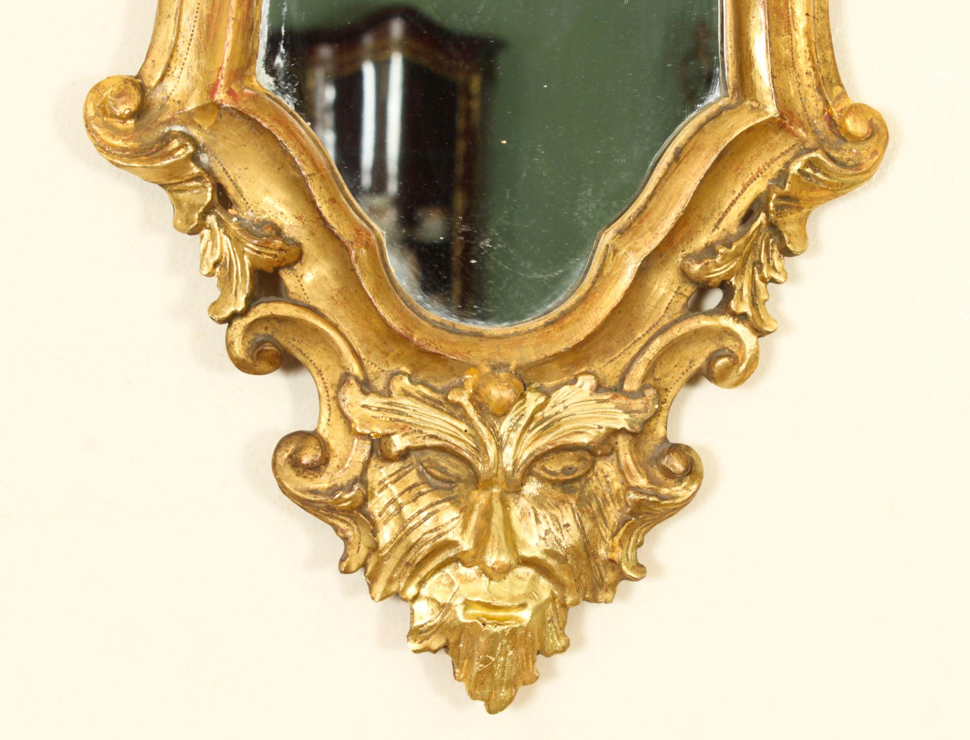 Antique Pair Florentine Rococo Giltwood Mirrors 19th Century 77x42cm For Sale 9