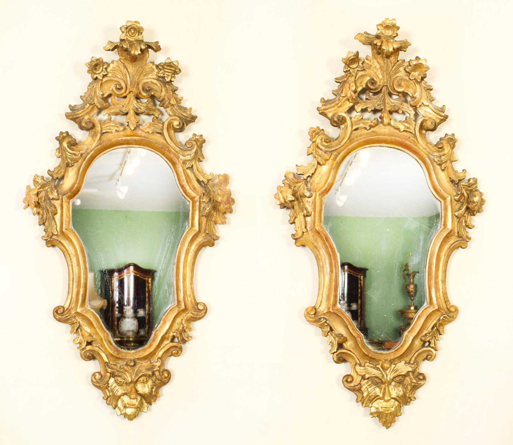 Antique Pair Florentine Rococo Giltwood Mirrors 19th Century 77x42cm For Sale 11