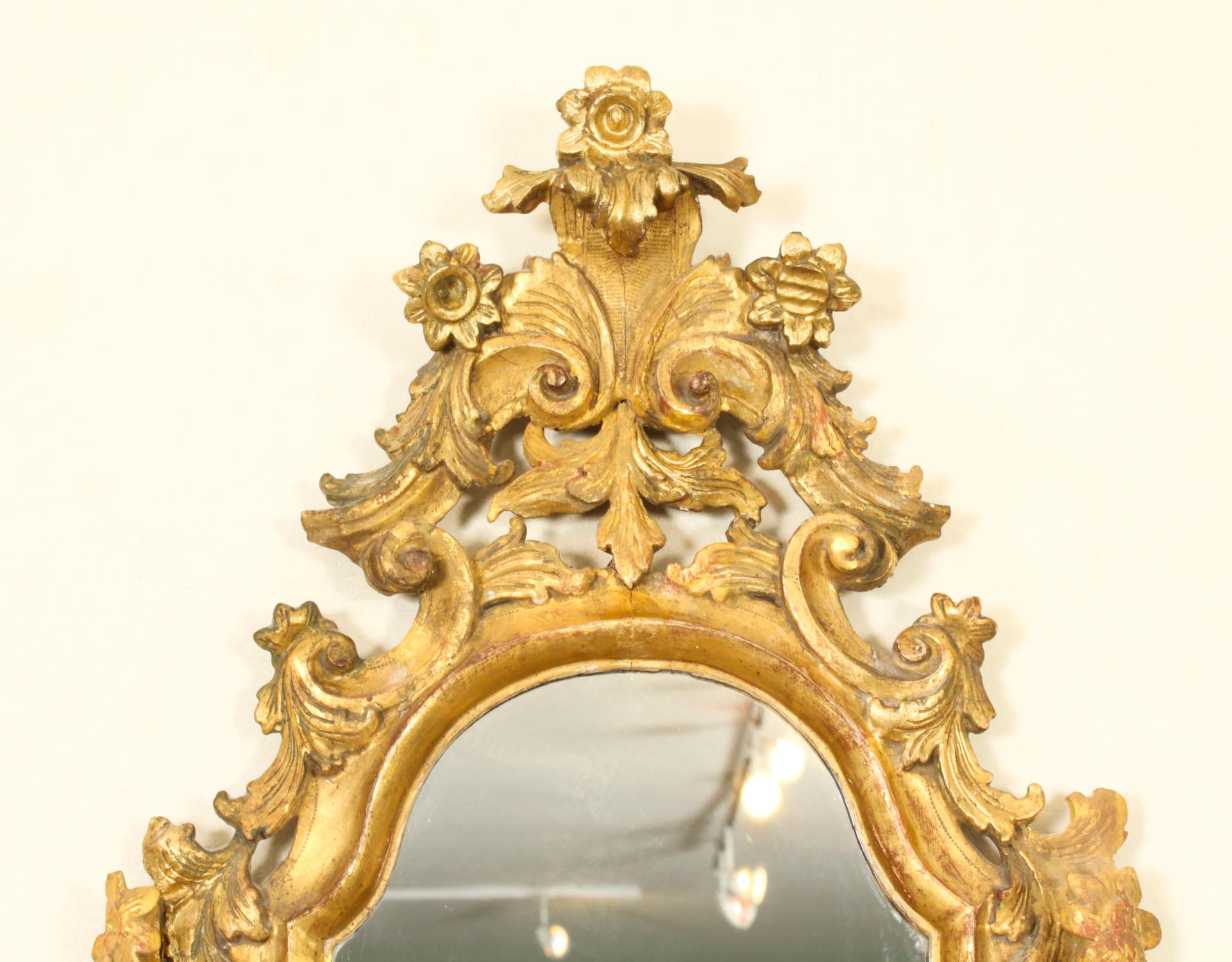 Late 19th Century Antique Pair Florentine Rococo Giltwood Mirrors 19th Century 77x42cm For Sale