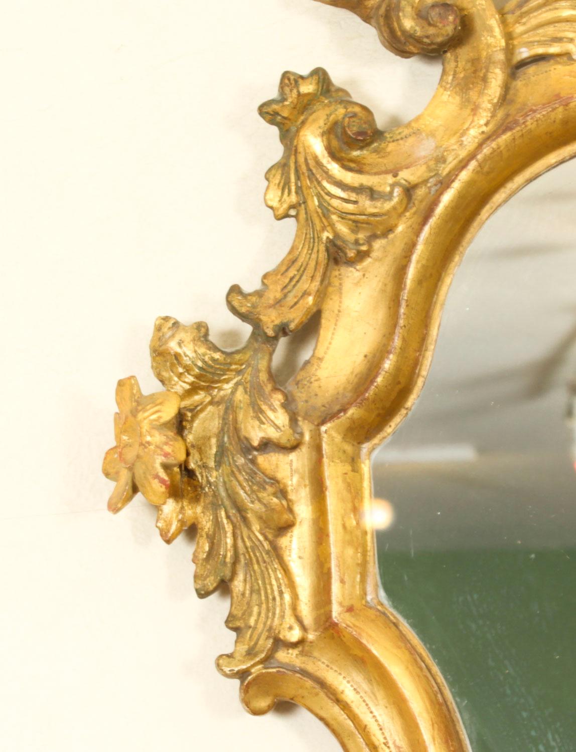 Antique Pair Florentine Rococo Giltwood Mirrors 19th Century 77x42cm For Sale 3