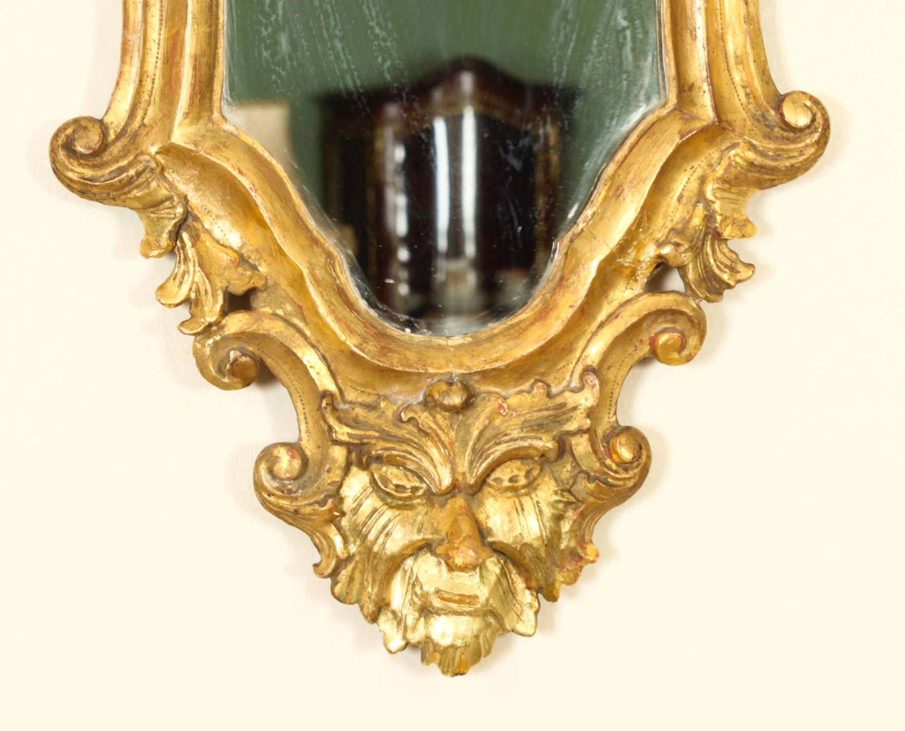 Antique Pair Florentine Rococo Giltwood Mirrors 19th Century 77x42cm For Sale 4