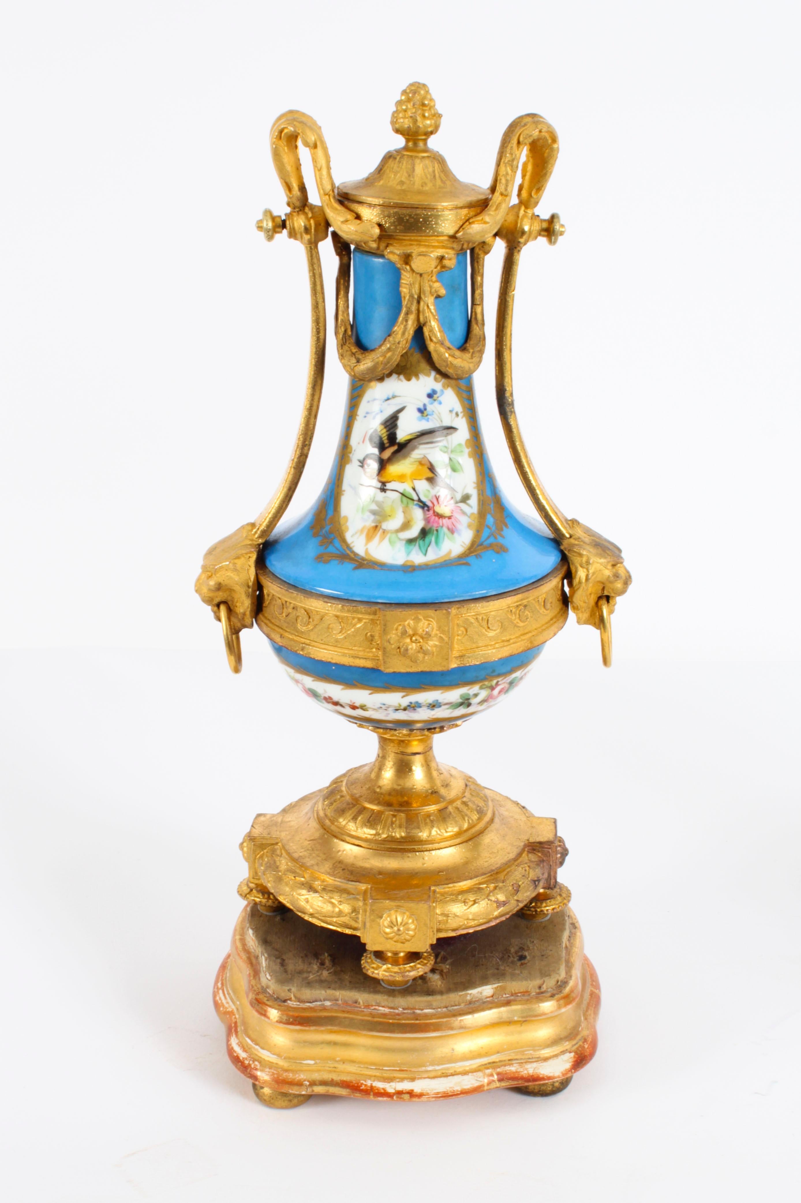 This is a beautiful antique pair of French Sevres style porcelain and ormolu mounted twin handled urns, in the Louis XV manner, Circa 1870 in date.
 
The bleu celeste grounds are superbly decorated with panels of bird in flight on one side with
