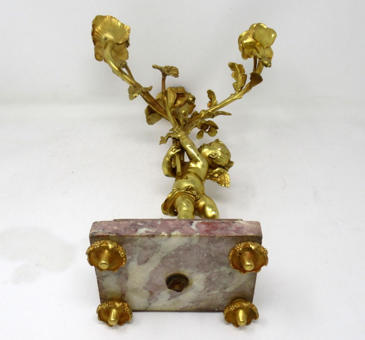Antique Pair of French Breche Violet Gilt Bronze Ormolu Candelabra Candlestick 2