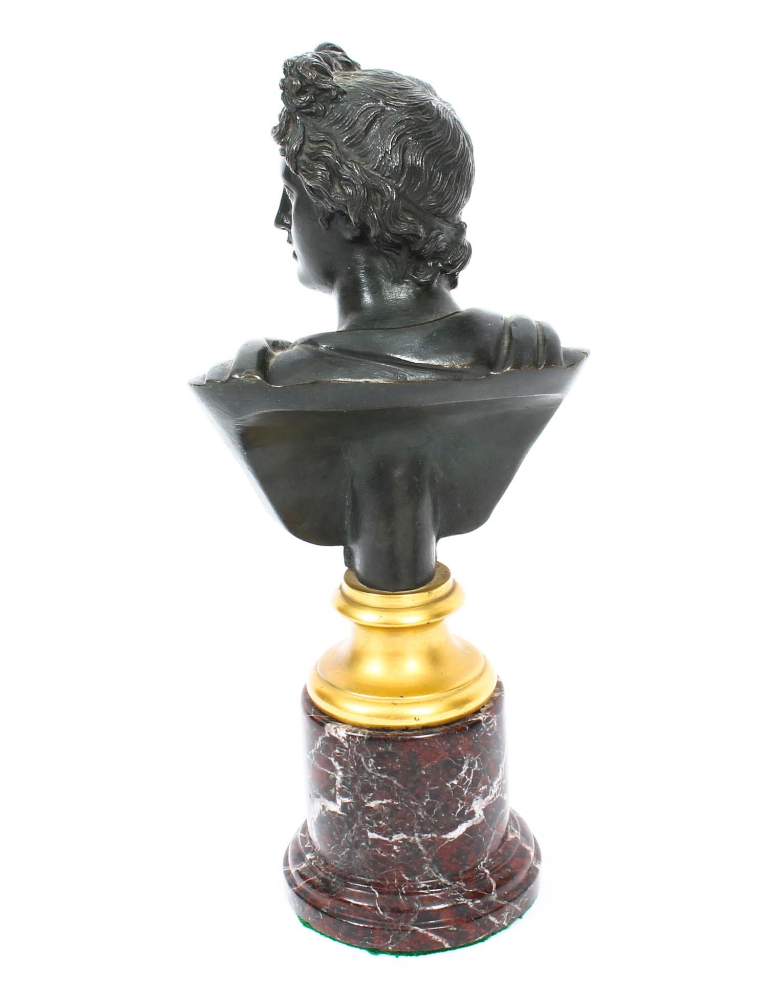 Antique Pair of French Grand Tour Bronze Busts Mercury & Apollo, 19th Century 6