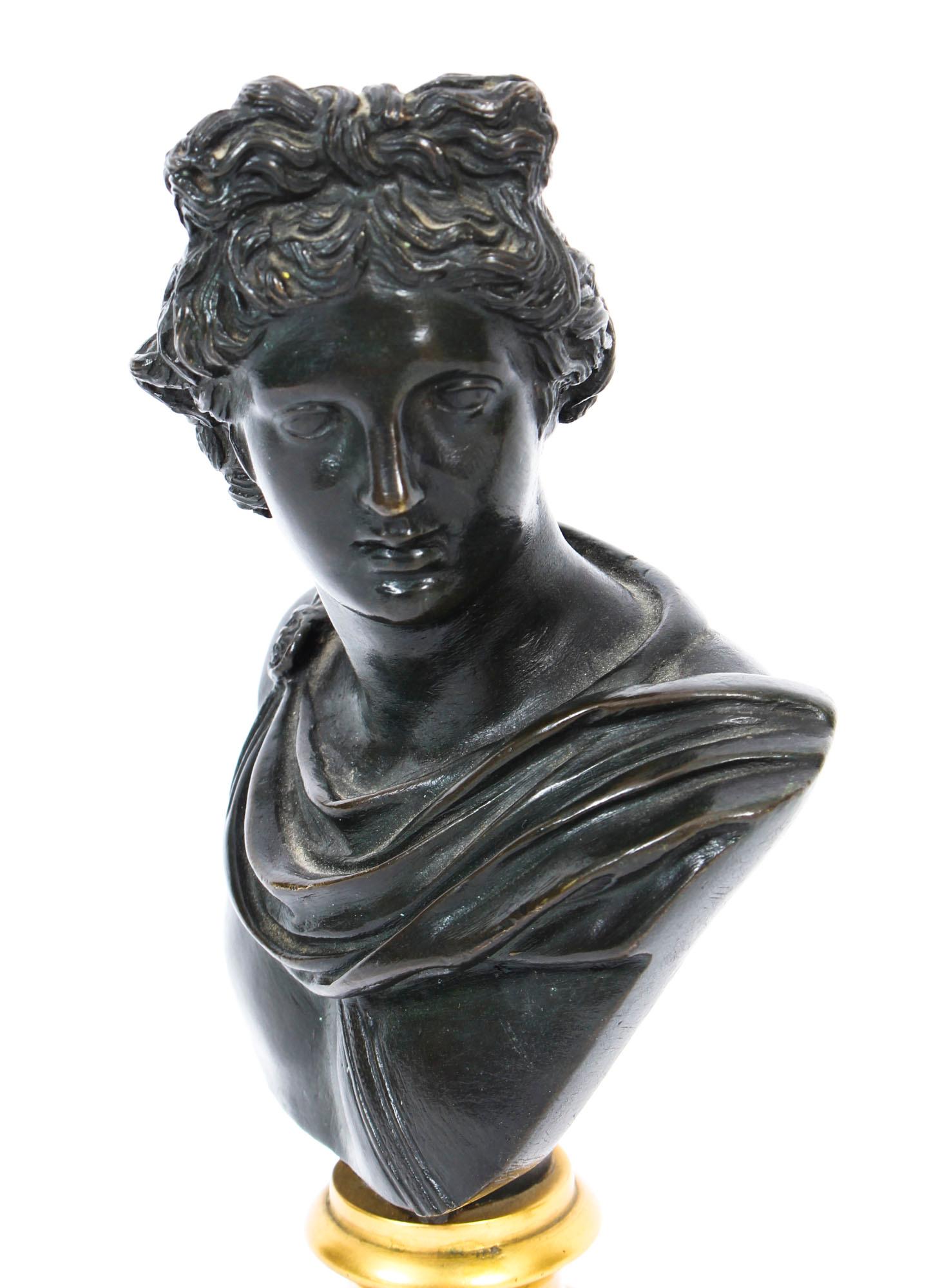 Antique Pair of French Grand Tour Bronze Busts Mercury & Apollo, 19th Century 9