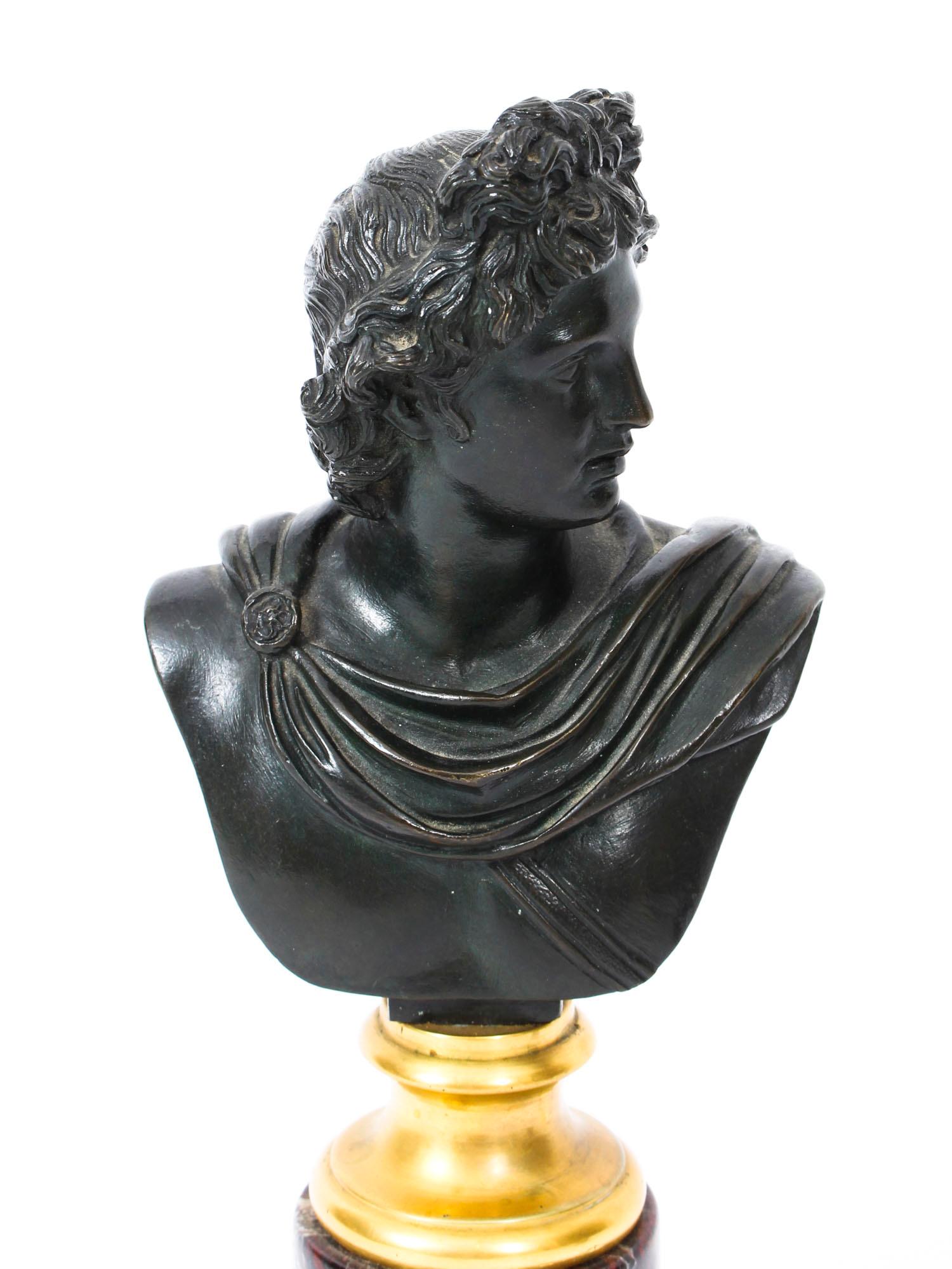 Antique Pair of French Grand Tour Bronze Busts Mercury & Apollo, 19th Century 12