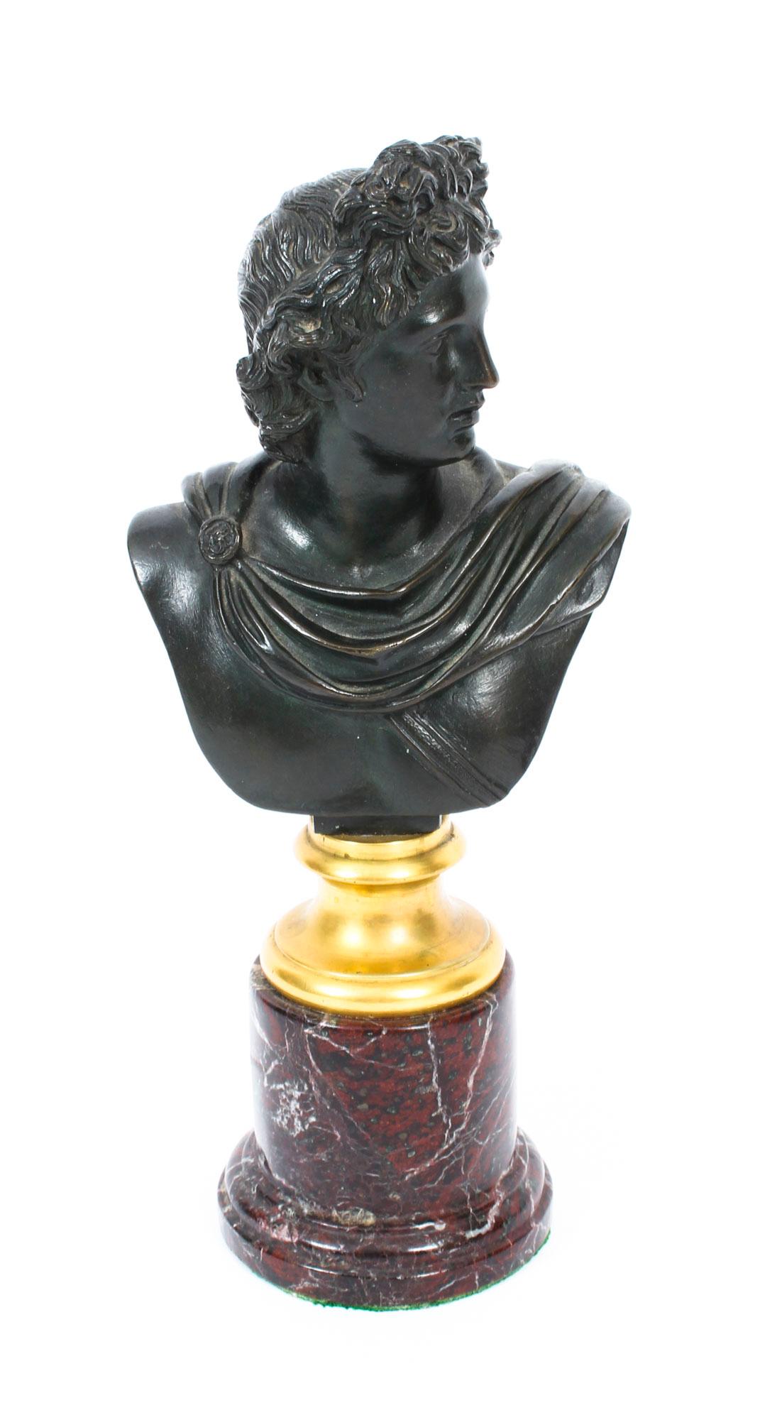 Antique Pair of French Grand Tour Bronze Busts Mercury & Apollo, 19th Century 13