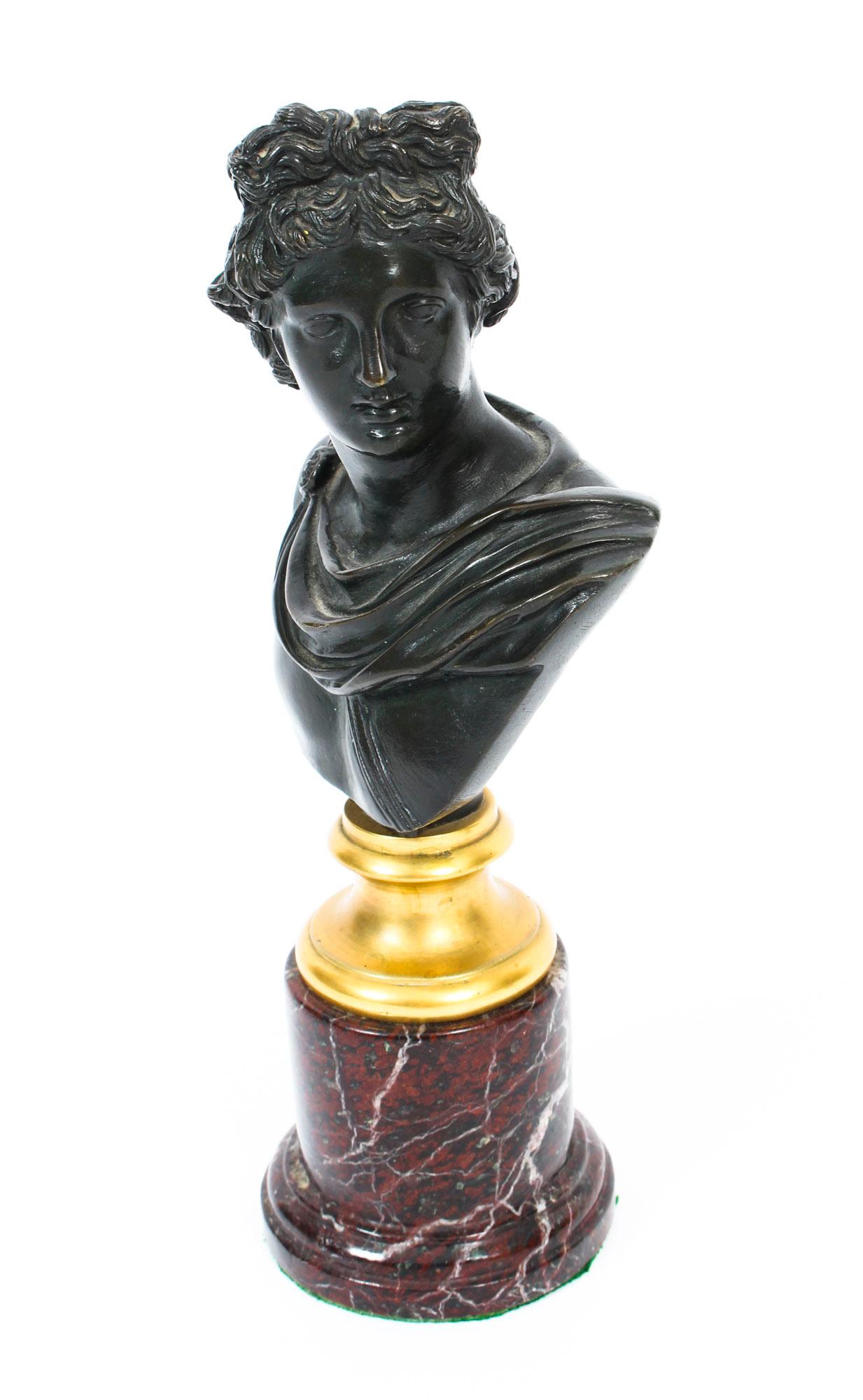 Antique Pair of French Grand Tour Bronze Busts Mercury & Apollo, 19th Century 4