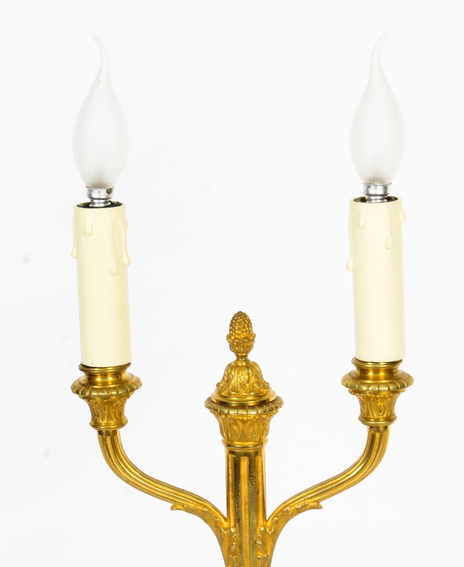Antique Pair of French Neoclassical Ormolu Candelabra Table Lamps, 19th Century 2