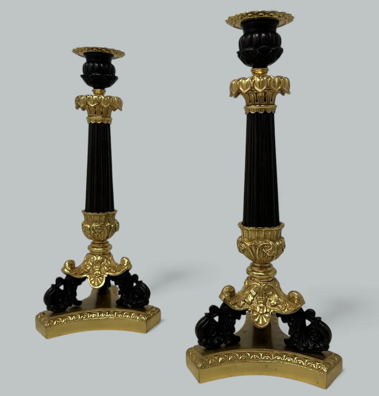 Splendida coppia di candelieri da tavolo o da camino francesi a luce singola in bronzo ormolu di qualità cesellata e di proporzioni generose e alte. 

Ognuno di essi ha un portacandele in fusione a forma di foglia di Campana con l'originale leccarda
